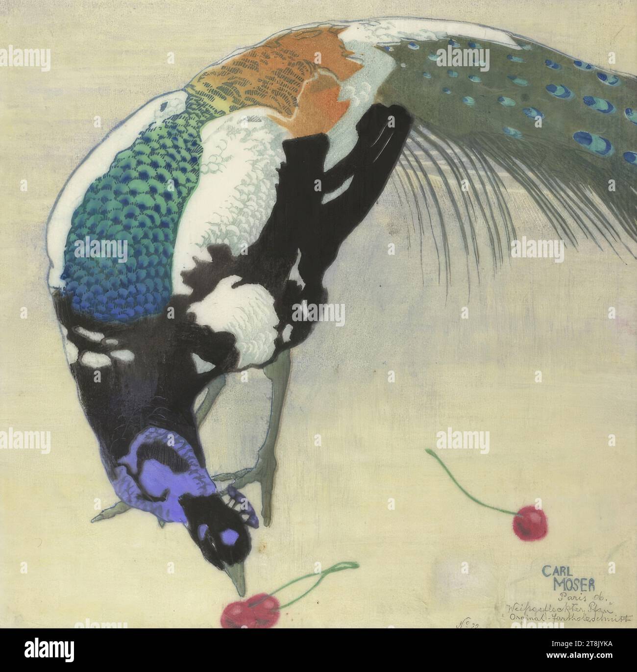 Weißfleckiger Pfau, Carl Moser, Bozen 1873 - 1939 Bozen, 1906, Druck, Farbholzschnitt auf japanischem Papier, Blatt: 30,9 x 31,3 cm, rechts. Mit Bleistift: ''White-Spoted Peacock'' / Originalfarbe Holzschnitt / Nr. 22 Stockfoto