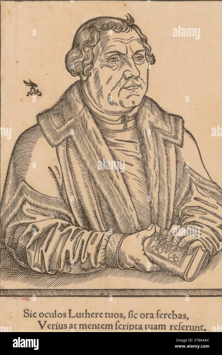 Martin Luther, um 1546, Druck, Holzschnitt, Blatt: 15,9 x 10,8 cm Stockfoto