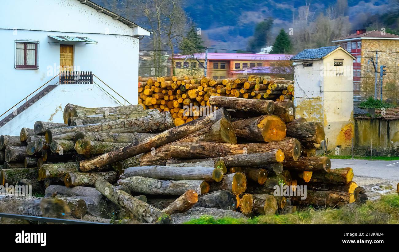 ASTURIEN, SPANIEN, Holz- oder Holzgeschäft in einem ländlichen Gebiet der Provinz Stockfoto