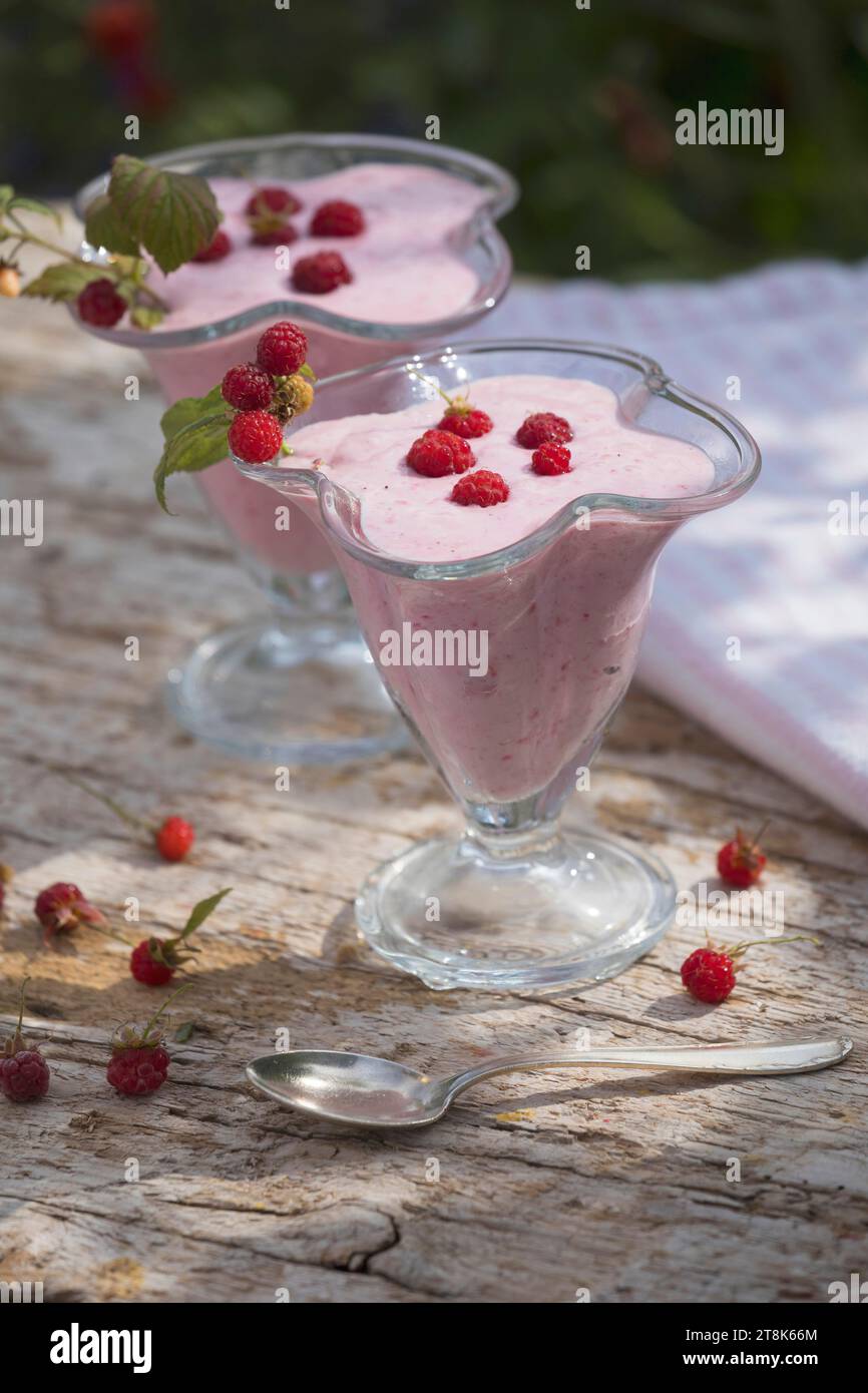 selbstgemachtes Weicheis aus Joghurt, Qvark und Früchten, fertiges Eis mit Himbeeren dekoriert, Serienbild 4/4 Stockfoto