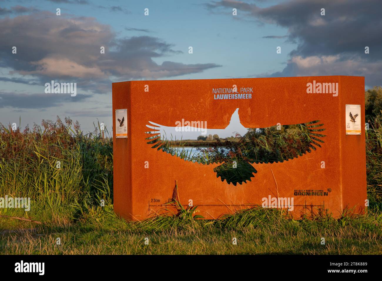 Informationsschild mit Seeadler, Niederlande, Lauwersmeer Nationalpark, Ezumakeeg Stockfoto