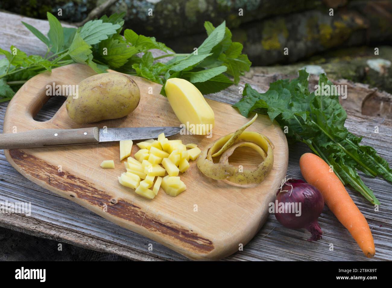 Suppe mit Kräutern und Gemüse aus dem Garten zubereiten Stockfoto