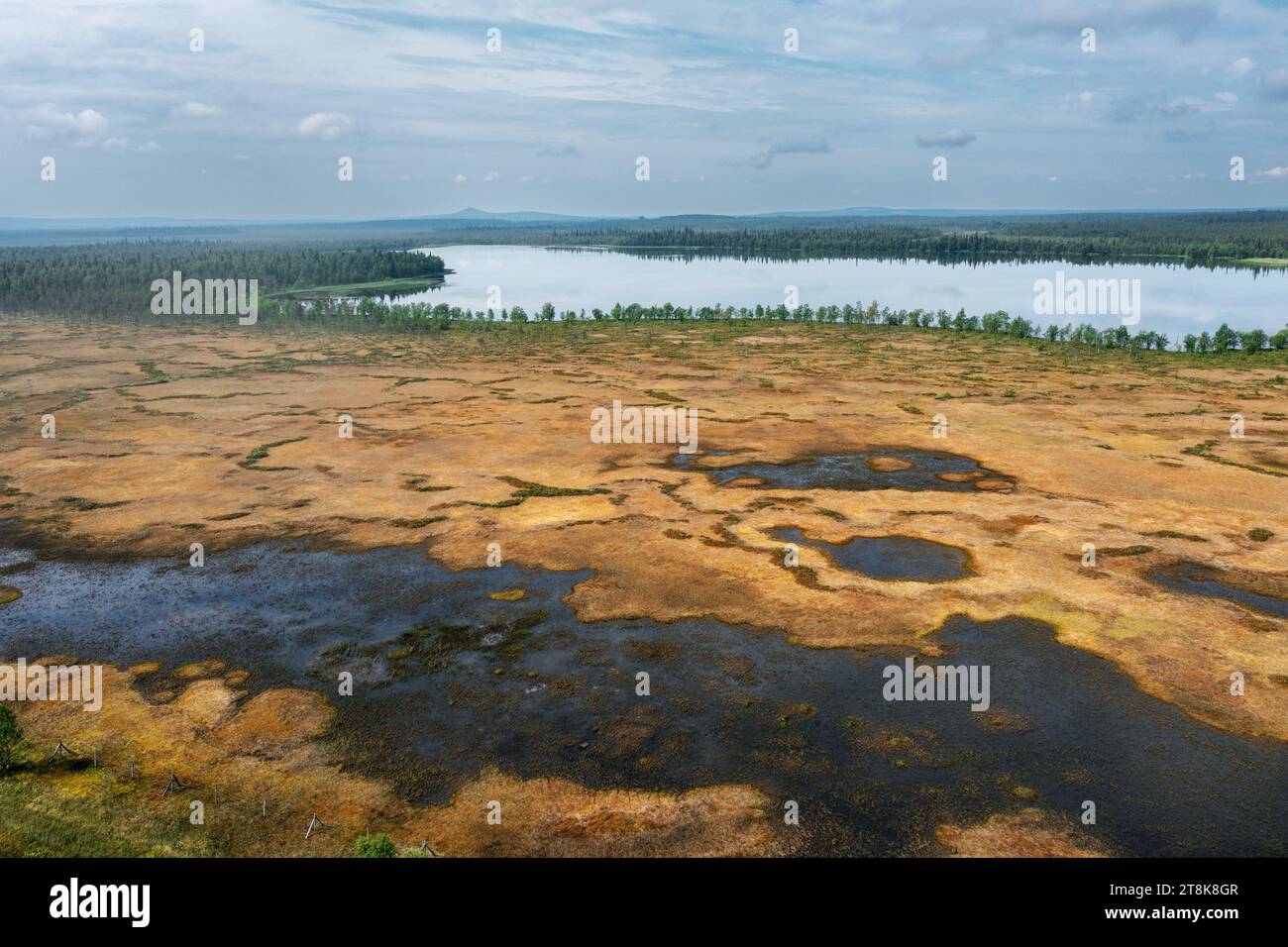 Fadenmoor am See Ilmakkijaervi bei Petkula, aus der Luft, Finnland, Lappland, Sodankylae Stockfoto