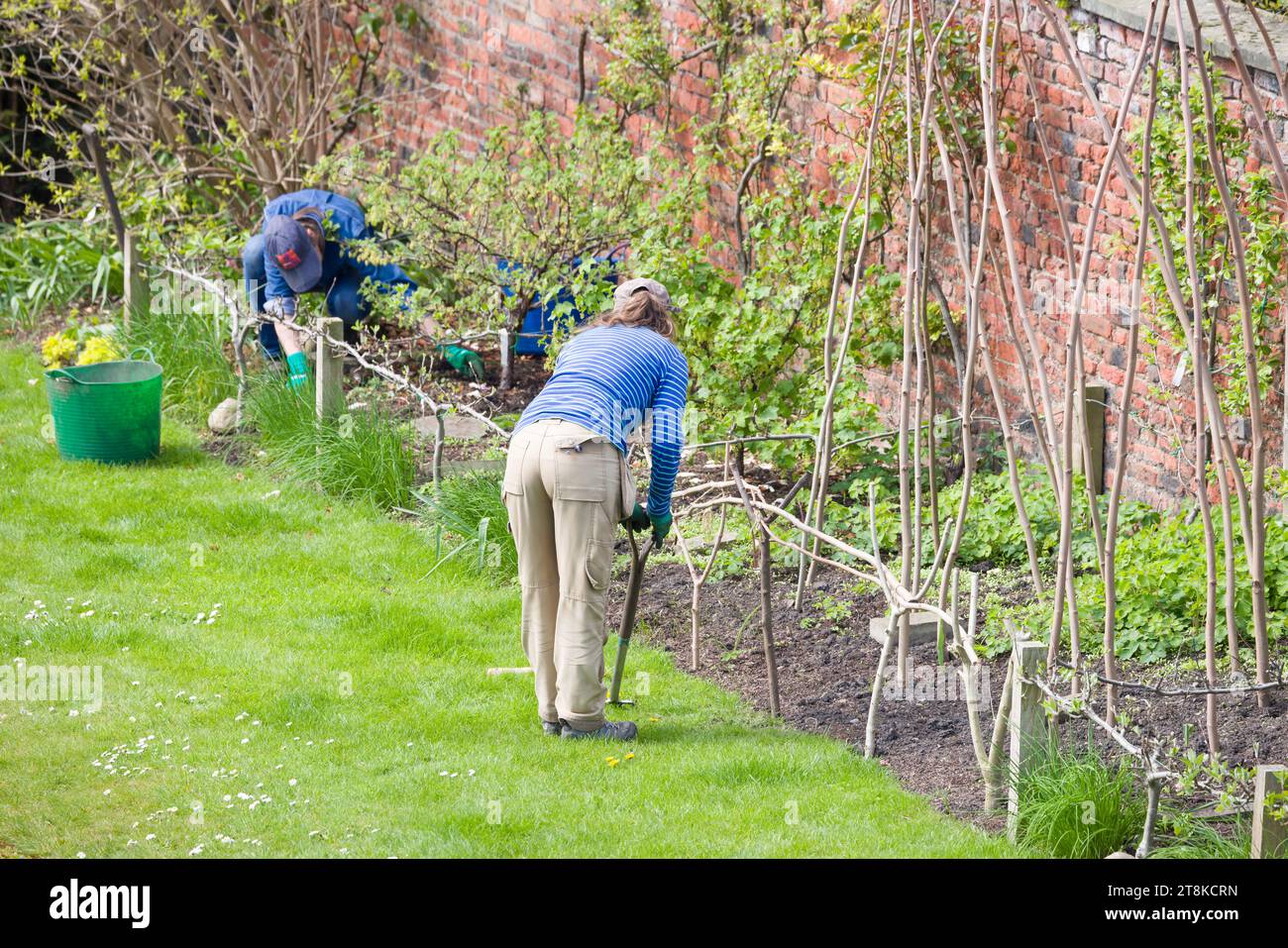 YORK, Großbritannien - 17. April 2023. Gärtnerinnen arbeiten an einer Gartengrenze im Stadtzentrum von York, Großbritannien Stockfoto
