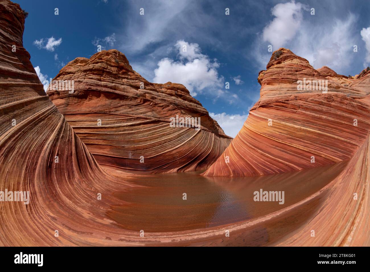 Die Welle mit Wasser, Coyote Buttes North, Vermillion Wilderness, Arizona Stockfoto