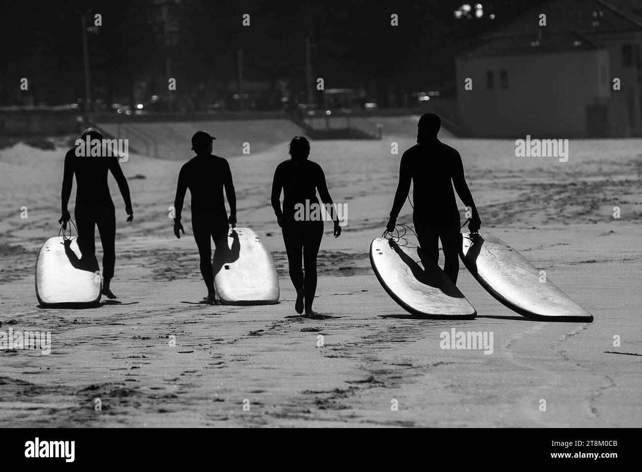 Surfer mit Silhouetten ziehen ihre Boards am Manly Beach entlang. Stockfoto