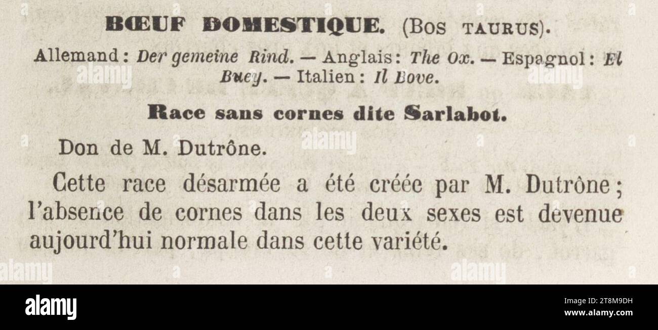 Vavasseur - Guide du promeneur au Jardin zoologique d'acclimatation - Paris 1865 - Seite 51. Stockfoto