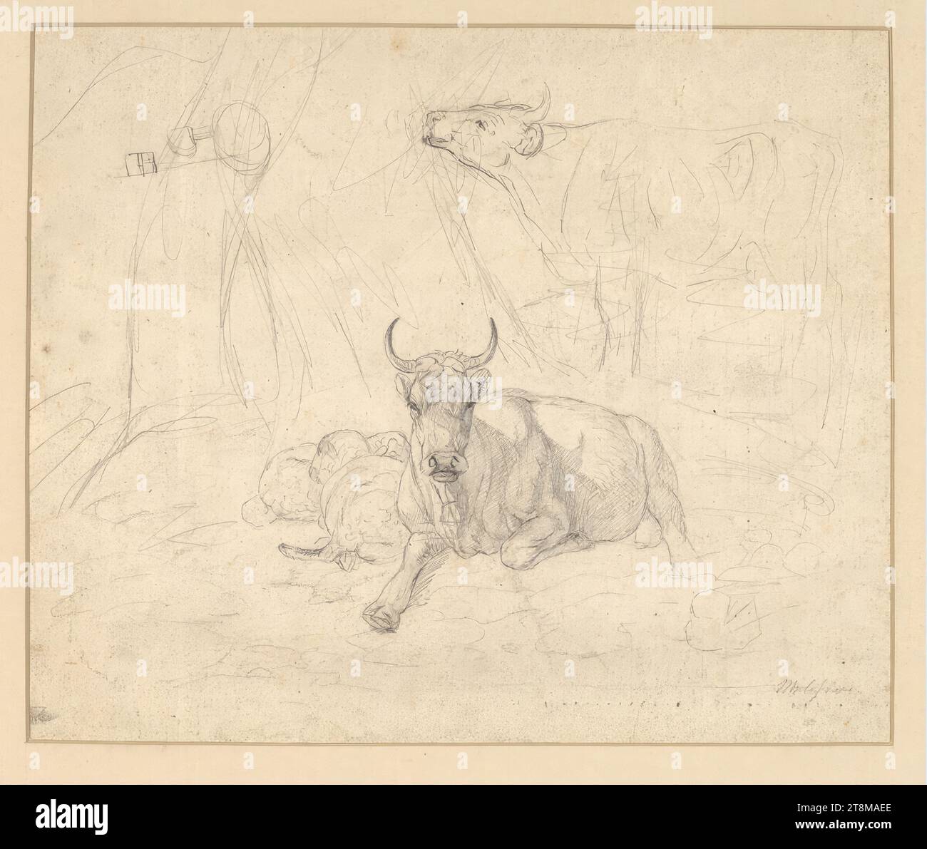 Liegender und stehender Kuh und zwei liegender Schafe, Johann Wilhelm Melchior (Nymphenburg 1817 - 1860 München), 19. Jahrhundert, Zeichnung, Bleistift, 194 x 234 mm Stockfoto