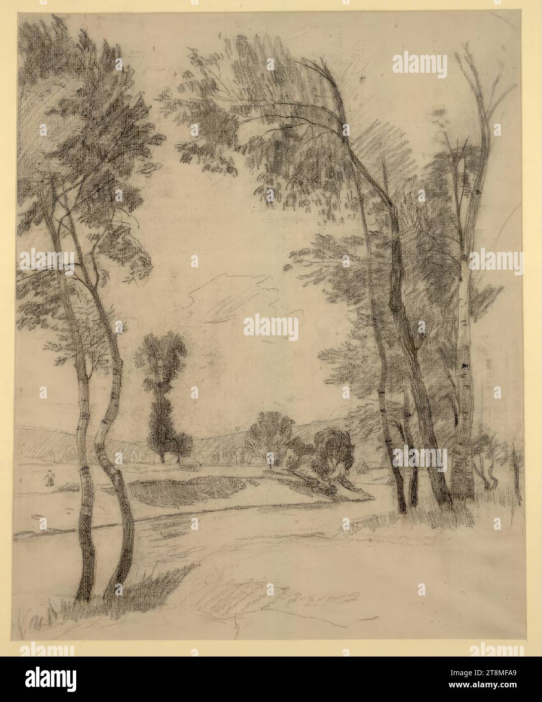 Landschaft mit Birken, Anton Nowak (Maribor 1865 - 1932/36 Wien), Zeichnung, Bleistift, Passepartout: 534 x 430 mm Stockfoto