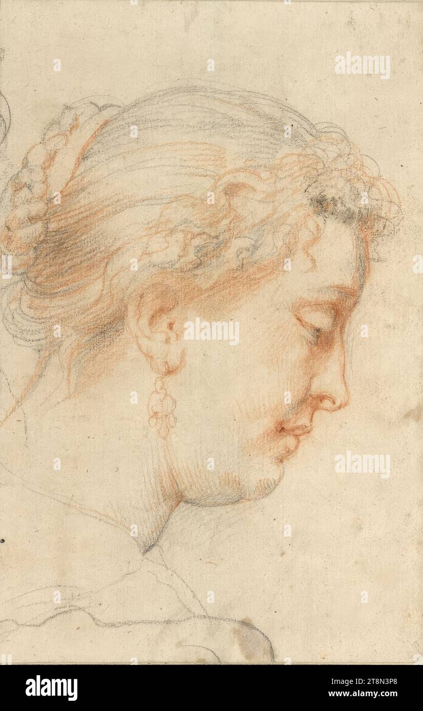 Kopf einer Frau im Profil rechts (Kopfstube für den Ildefonso-Altar in Wien), Peter Paul Rubens (Siegen 1577 - 1640 Antwerpen), ca. 1630/31, Zeichnung, schwarze Kreide, Sanguine, 24,7 x 15,8 cm, r. r. Herzog Albrecht von Sachsen-Teschen Stockfoto