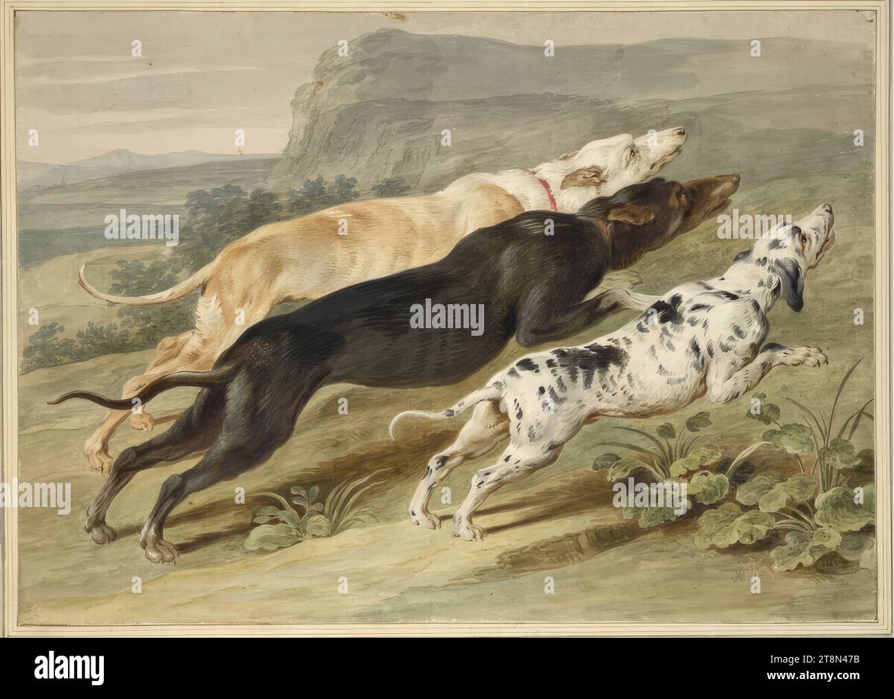 Drei Jagdhunde, anonym, Zeichnung, Aquarell, über Graphitstift, 34 x 48 cm, l.l., Herzog Albrecht von Sachsen-Teschen Stockfoto