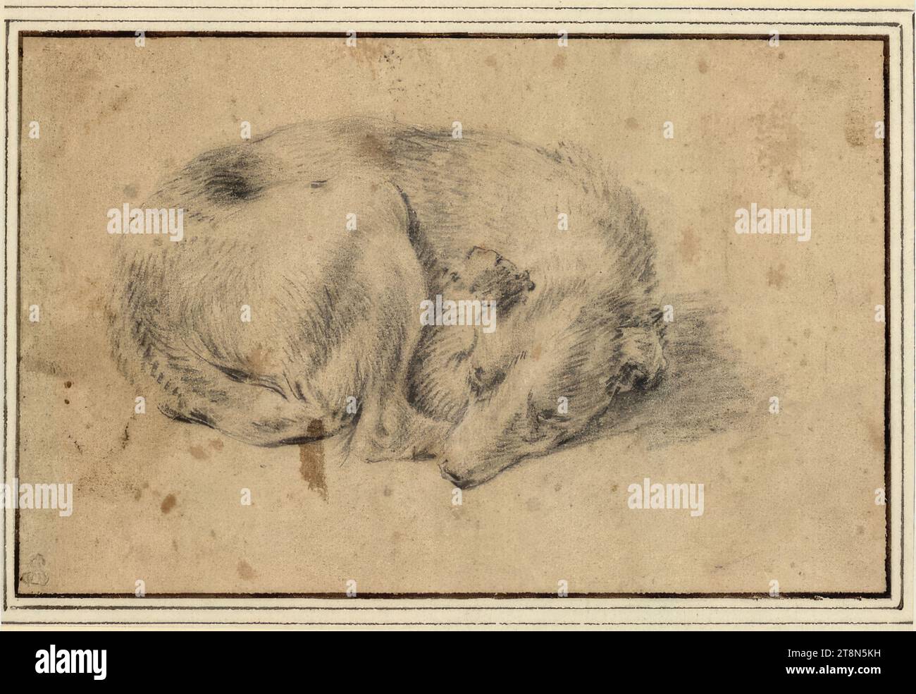 Liegender Hund, Aelbert Cuyp (Dordrecht 1620 - 1691 Dordrecht), Zeichnung, Schwarze Kreide, auf bräunlichem Papier; braune Verschmutzung. 11,4 x 17,7 cm, l. und Herzog Albrecht von Sachsen-Teschen Stockfoto