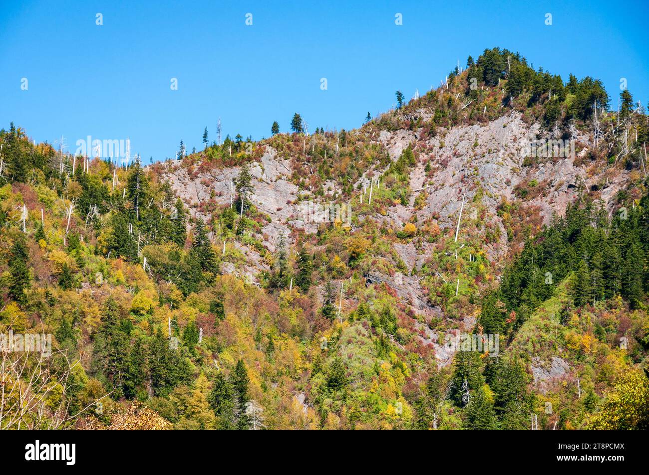 Great Smoky Mountains National Park in North Carolina Stockfoto