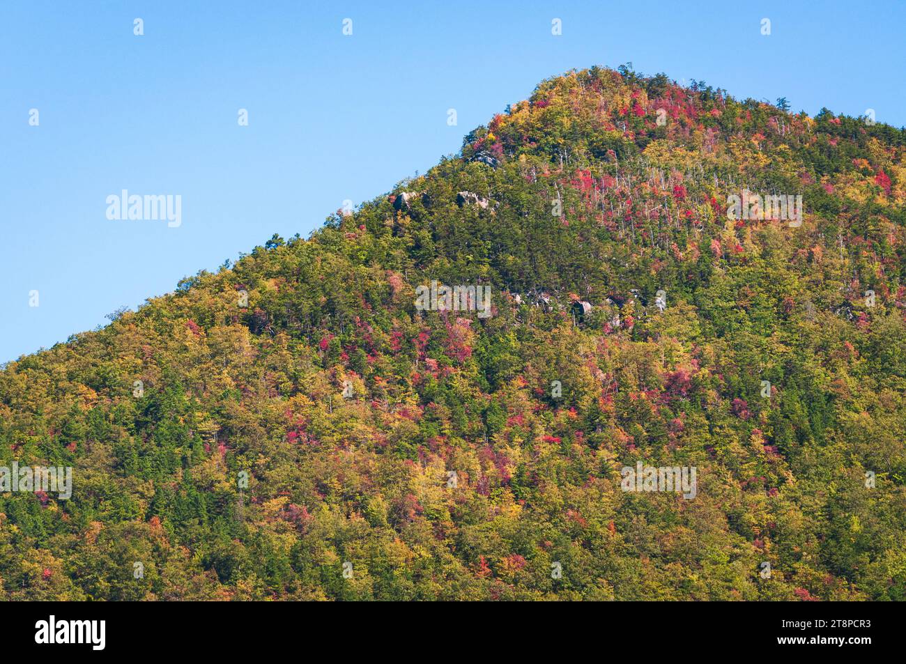 Great Smoky Mountains National Park in North Carolina Stockfoto