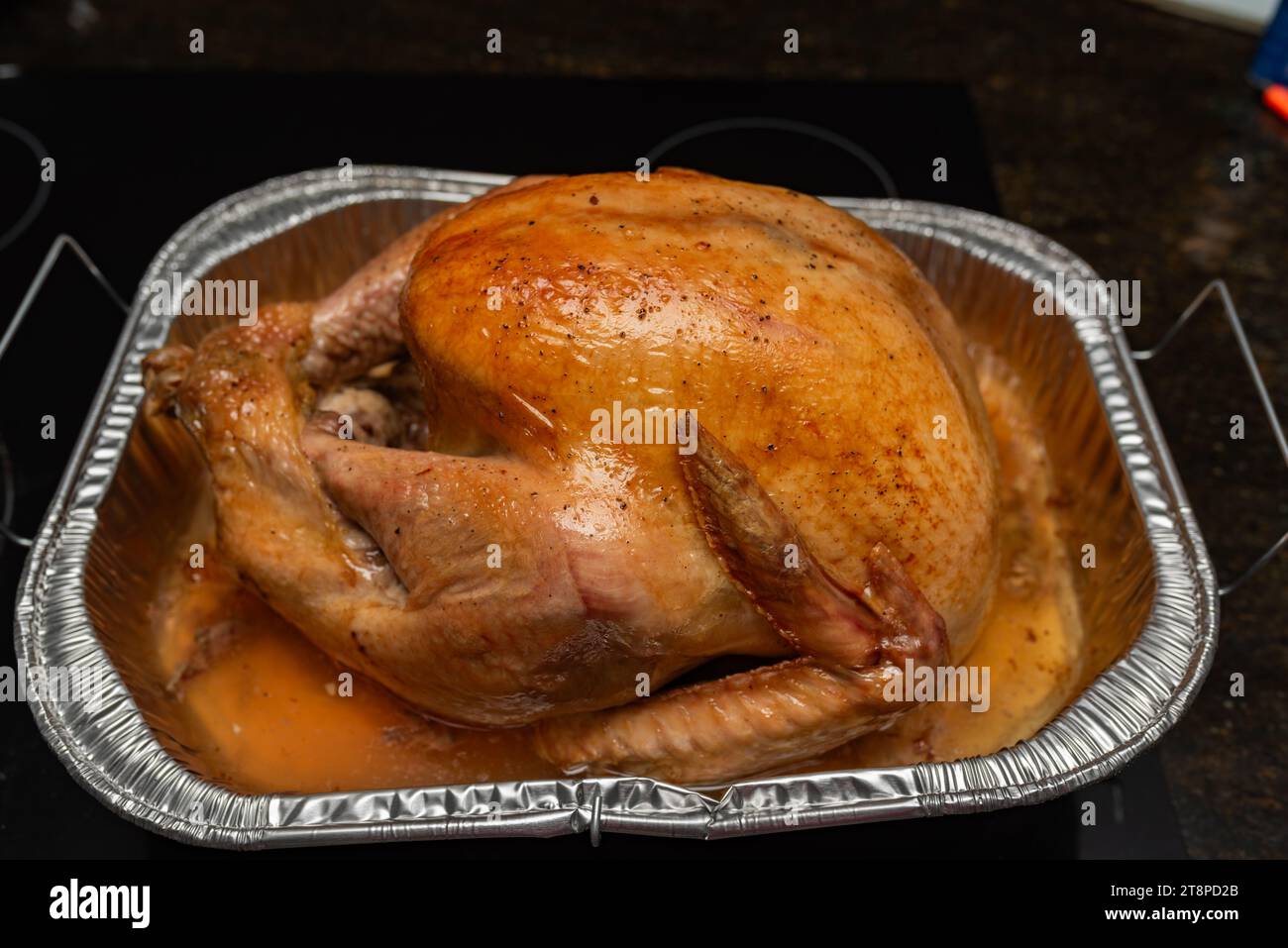 Im Ofen Gerösteter Thanksgiving-Truthahn Stockfoto