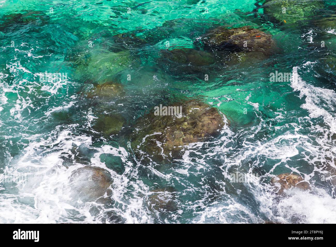 Küstensteine liegen unter blauem Meer, Seychellen. Natürliches Hintergrundfoto an einem sonnigen Sommertag Stockfoto