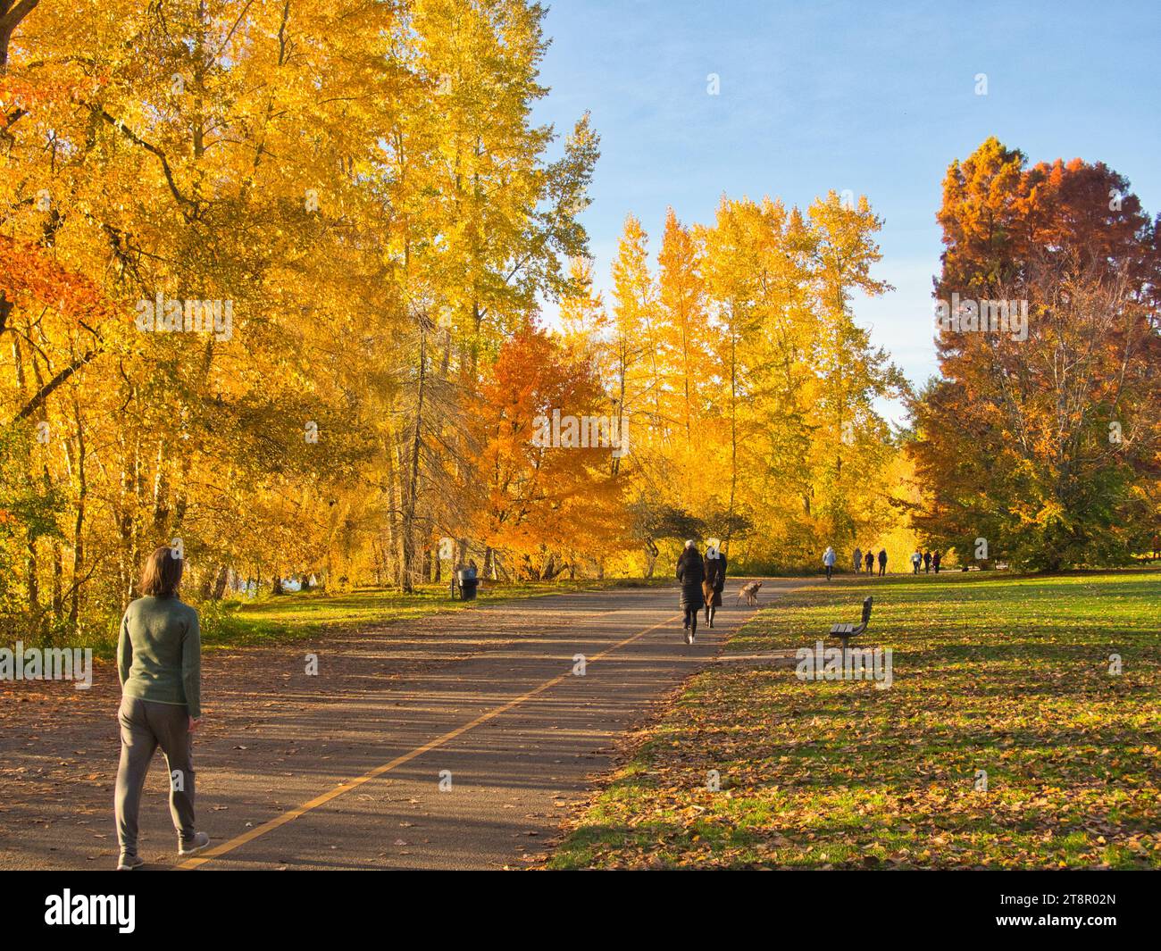 Wanderweg mit vorbeiziehenden Figuren, die an einem schönen sonnigen Tag in einem Stadtpark mit gelbem und orangefarbenem Laub zur goldenen Stunde spazieren gehen. Stockfoto