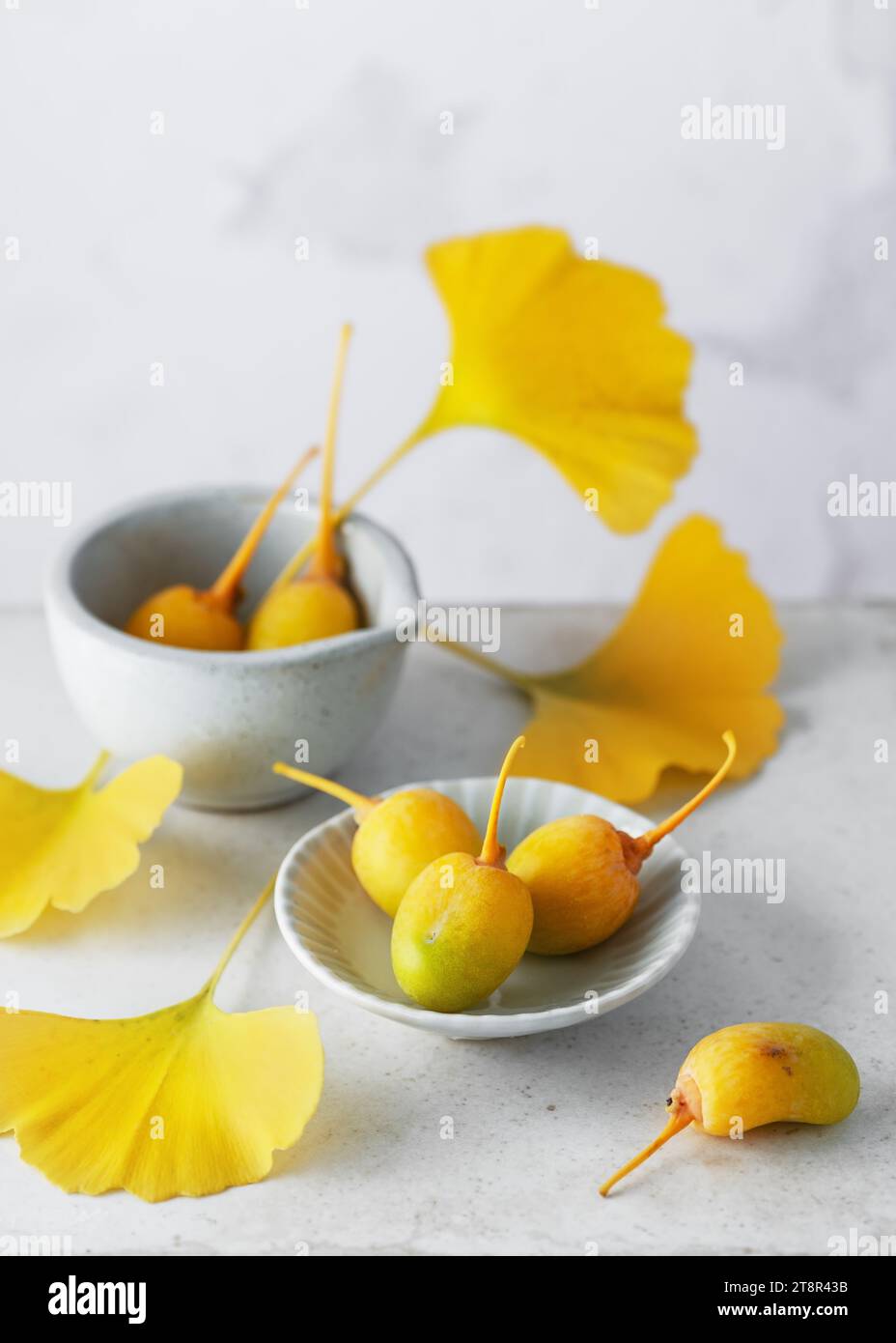 Bio-reife Ginkgofrucht frische gelbe Blätter in der traditionellen chinesischen Medizin. Populäres Nahrungsergänzungsmittel. Kopierbereich. Stockfoto