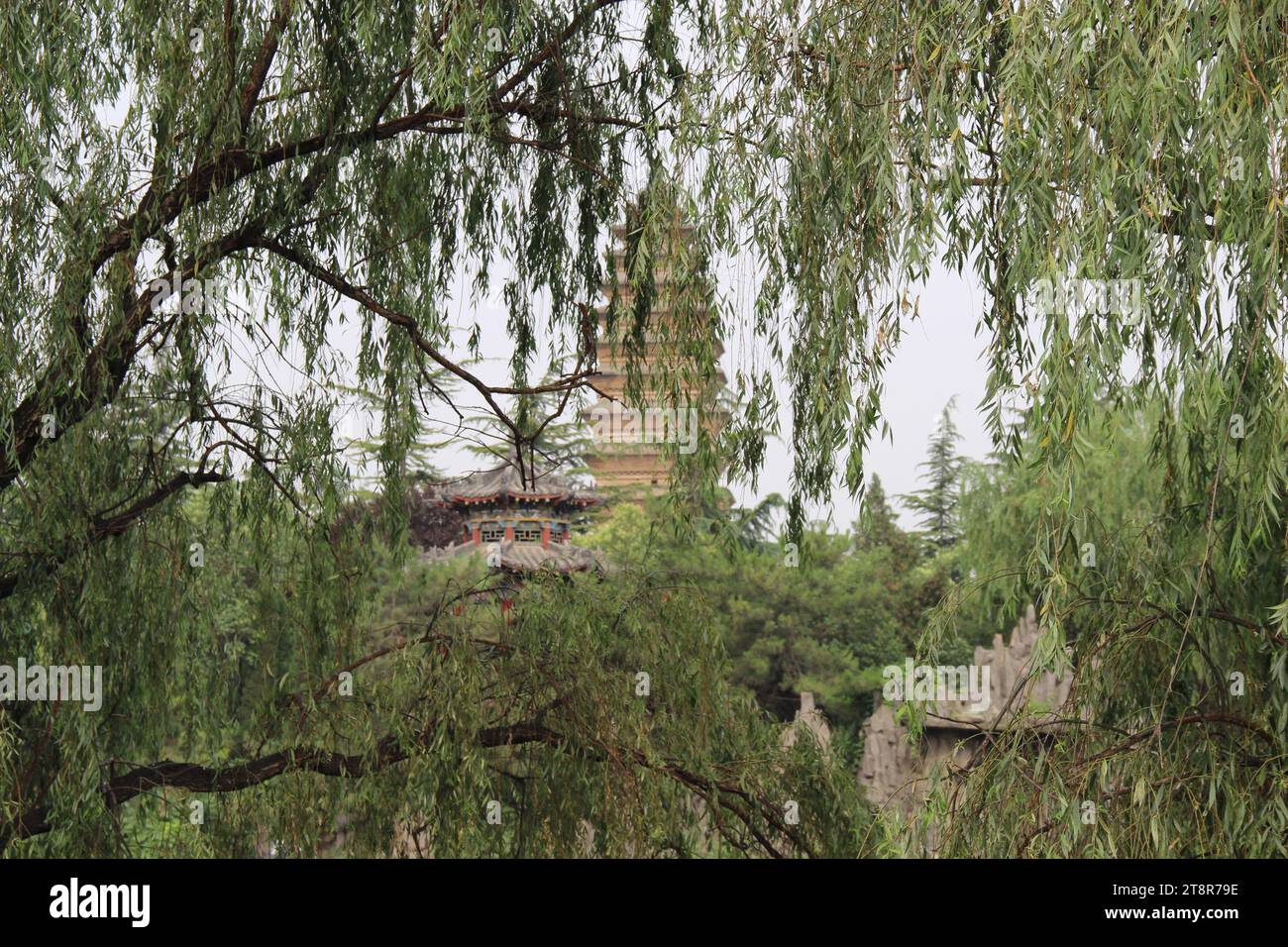 Pagode des Tempels des Weißen Pferdes, Jin-Dynastie, 1175 n. Chr., der Buddhismus kam hier im ersten Jahrhundert n. Chr. in Luoyang, Henan Stockfoto