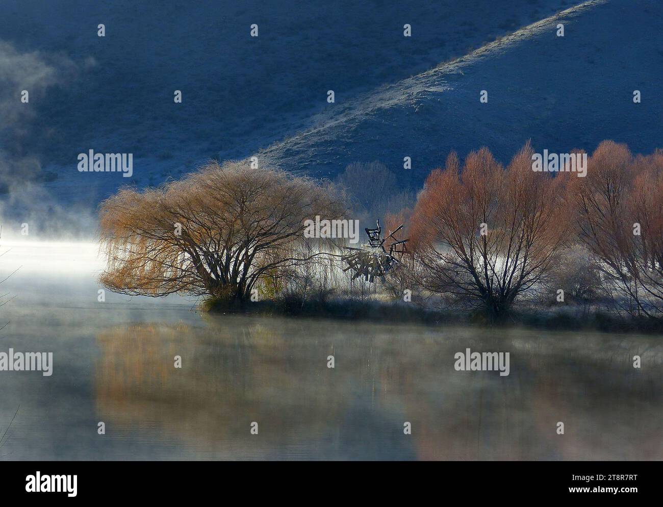 Frostiger Morgenduzel. NZ, Taillenarm. Nur wenige Schritte von der Stadt Twizel entfernt, sind diese Teiche beliebt zum Angeln Stockfoto