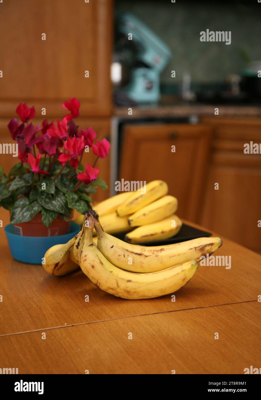 Bananen liegen auf einem soliden Holztisch. Süße reife Bananen mit gelber Haut Stockfoto