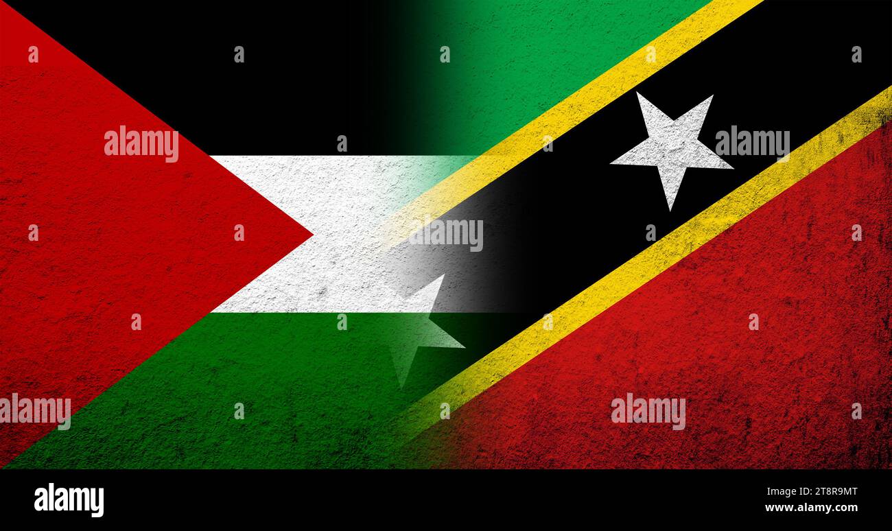 Flagge von Palästina und Föderation von St. Christoph und Nevis (St. Kitts und Nevis) Nationalflagge. Grunge-Hintergrund Stockfoto