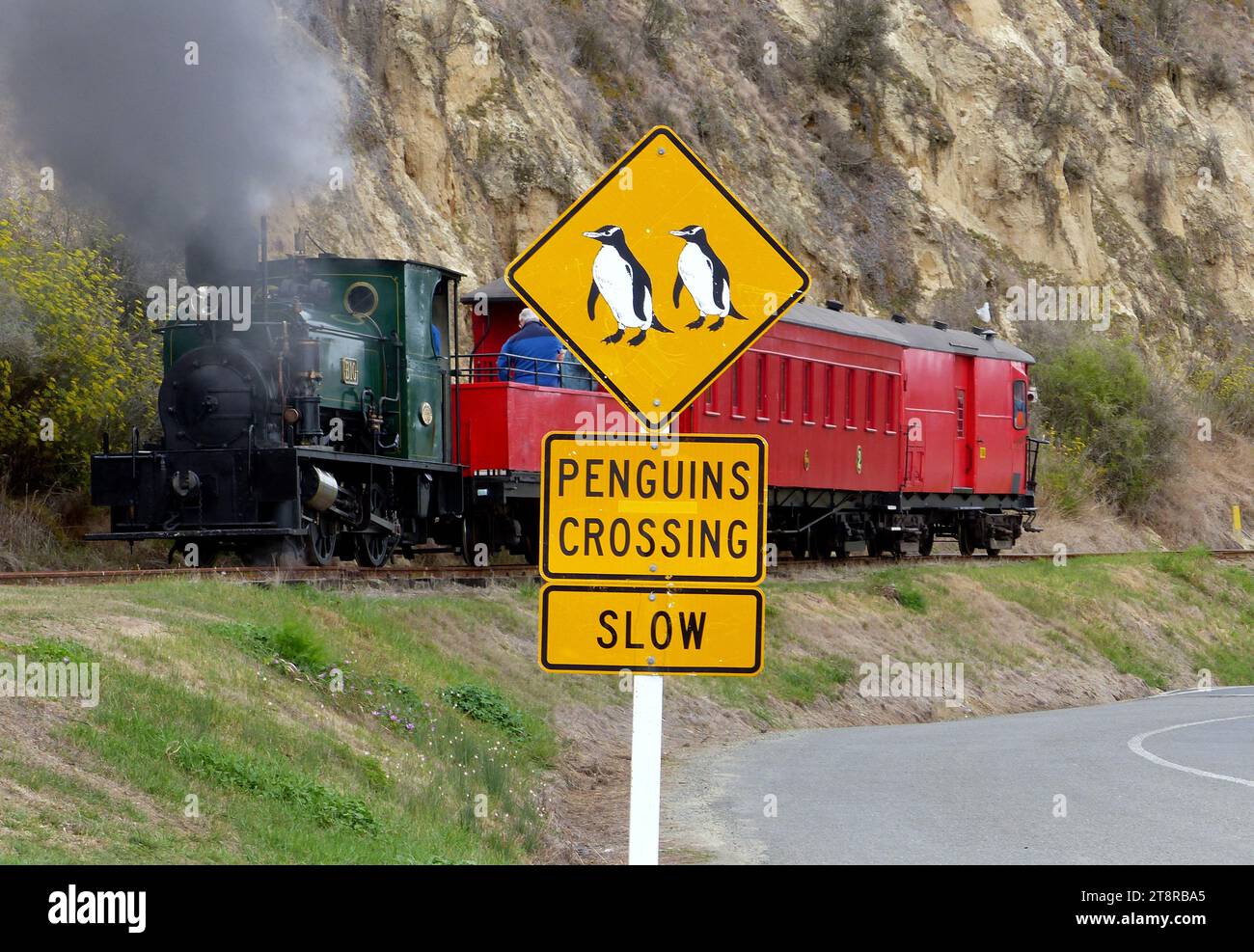Im weißen Stadtbild von Oamaru, Neuseeland, befinden sich einige der am besten erhaltenen historischen Gebäude Neuseelands. Ende des 19. Jahrhunderts florierte die Stadt durch Goldgewinnung, Steinbruch und Holzmühlen. Ein Teil des Reichtums wurde für elegante Steinbauten aus lokalem Kalkstein ausgegeben. Die Gegend um die Harbour-Tyne Street ist etwas ganz Besonderes – und auch die Einkaufsmöglichkeiten sind großartig. Nach der Erkundung des viktorianischen Viertels schwingen Sie am Steampunk-Spielplatz und Museum vorbei Stockfoto