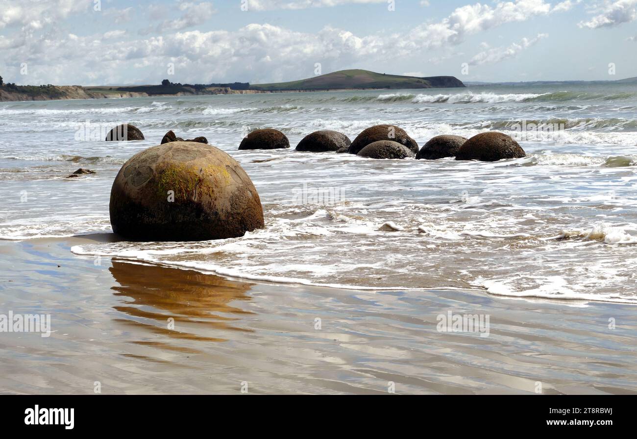 Moeraki Boulders. Otago. NZ, in Moeraki, 40 Kilometer südlich von Oamaru, Neuseeland, sind riesige kugelförmige Felsbrocken am Strand verstreut. Andere können aus den Sandsteinklippen auftauchen. Jeder Felsblock wiegt mehrere Tonnen und ist bis zu zwei Meter hoch. Der Legende nach Maori zufolge die Felsbrocken sind Kürbisse, die vom großen Segelkanu Araiteuru an Land gespült wurden, als es vor Hunderten von Jahren bei Landfall in Neuseeland zerstört wurde.Wissenschaftler erklären die Felsbrocken als Kalzitkonkretionen, die sich vor etwa 65 Millionen Jahren gebildet haben. Kristallisation von Calcium und Karbonaten um geladene Partikel Stockfoto