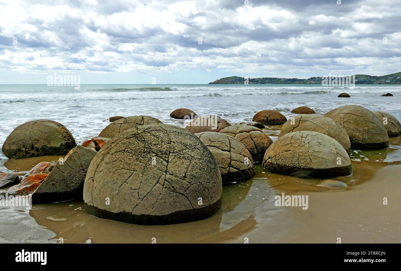 Moeraki Boulders. Otago. NZ, in Moeraki, 40 Kilometer südlich von Oamaru, Neuseeland, sind riesige kugelförmige Felsbrocken am Strand verstreut. Andere können aus den Sandsteinklippen auftauchen. Jeder Felsblock wiegt mehrere Tonnen und ist bis zu zwei Meter hoch. Der Legende nach Maori zufolge die Felsbrocken sind Kürbisse, die vom großen Segelkanu Araiteuru an Land gespült wurden, als es vor Hunderten von Jahren bei Landfall in Neuseeland zerstört wurde.Wissenschaftler erklären die Felsbrocken als Kalzitkonkretionen, die sich vor etwa 65 Millionen Jahren gebildet haben. Kristallisation von Calcium und Karbonaten um geladene Partikel Stockfoto