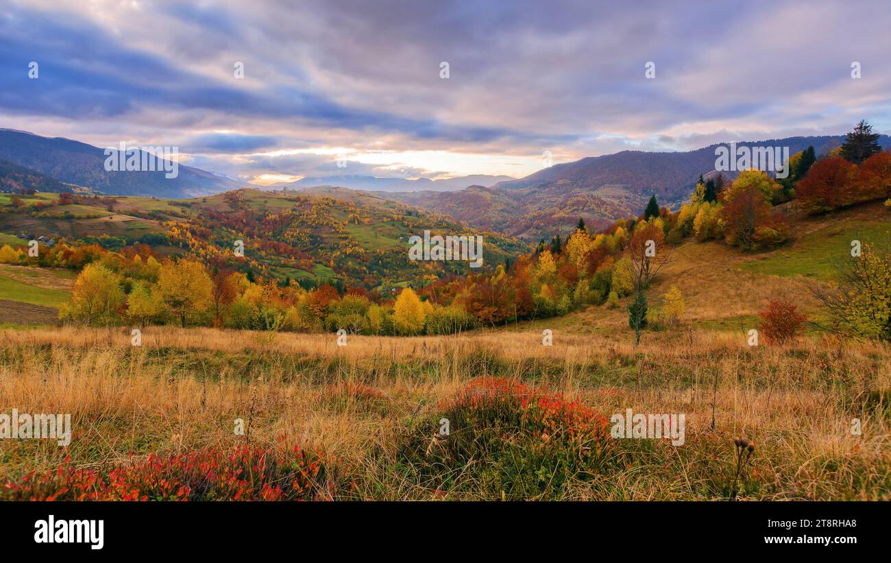 Bergige ländliche Landschaft im Herbst. Sanfte Landschaft an einem bewölkten Morgen. Bäume auf den Hügeln in Herbstfarben Stockfoto