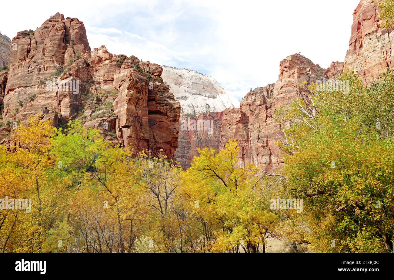 Zion National Park. Utah, Utahs erster Nationalpark Stockfoto