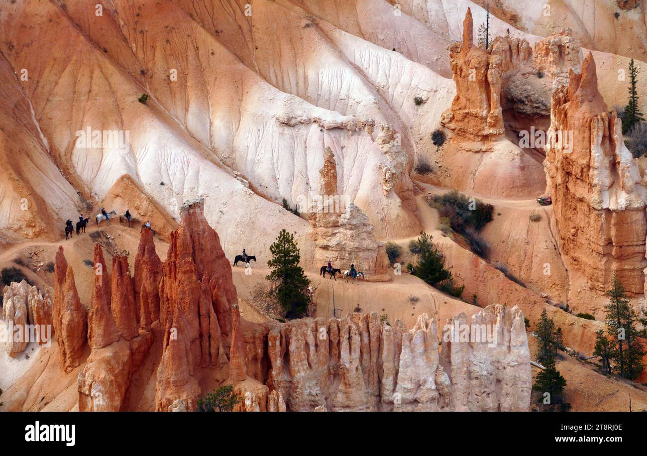 Reiten. Bryces Canyon, Utah, erleben Sie mehr Pracht und Schönheit, als Sie sich bei Ihrem Besuch im Bryce Canyon vorstellen können. Wie eine aufregende Reise zurück durch die Äonen der Zeit... ein Blick aus der Nähe auf wunderschöne Felsformationen, die Tausende von Jahren entstehen. Formationen, auf denen Wind und Regen für immer ihr Handwerk der Skulptur arbeiten. Um diese Illusion der Zeitlosigkeit noch weiter zu verstärken, können Sie die atemberaubende Schönheit von Bryces vom Pferd aus sehen – das älteste (und zuverlässigste) Transportmittel! Stockfoto