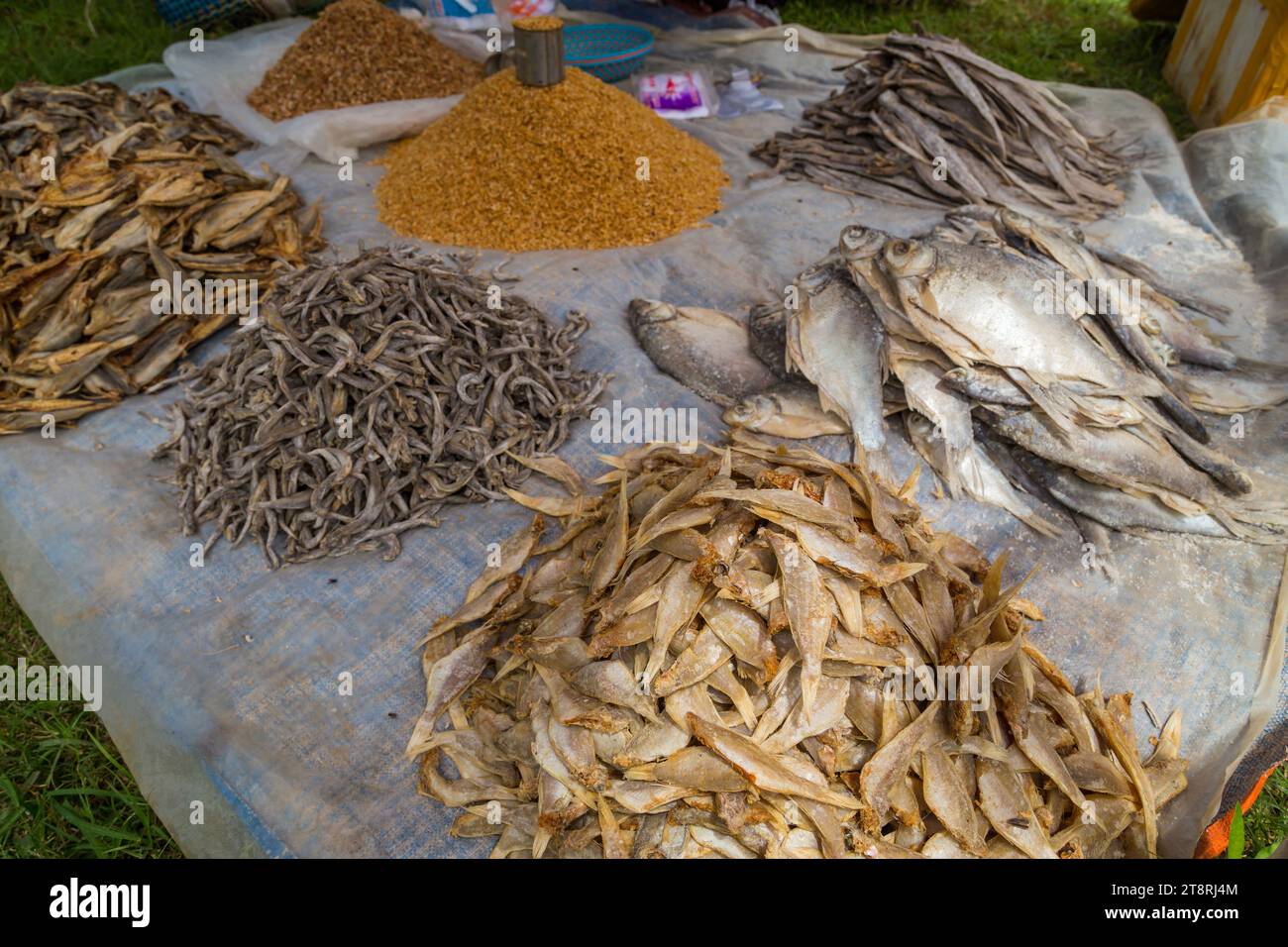 Getrockneter Fisch auf einem Markt am Inle-See von Myanmar. Südostasien Stockfoto