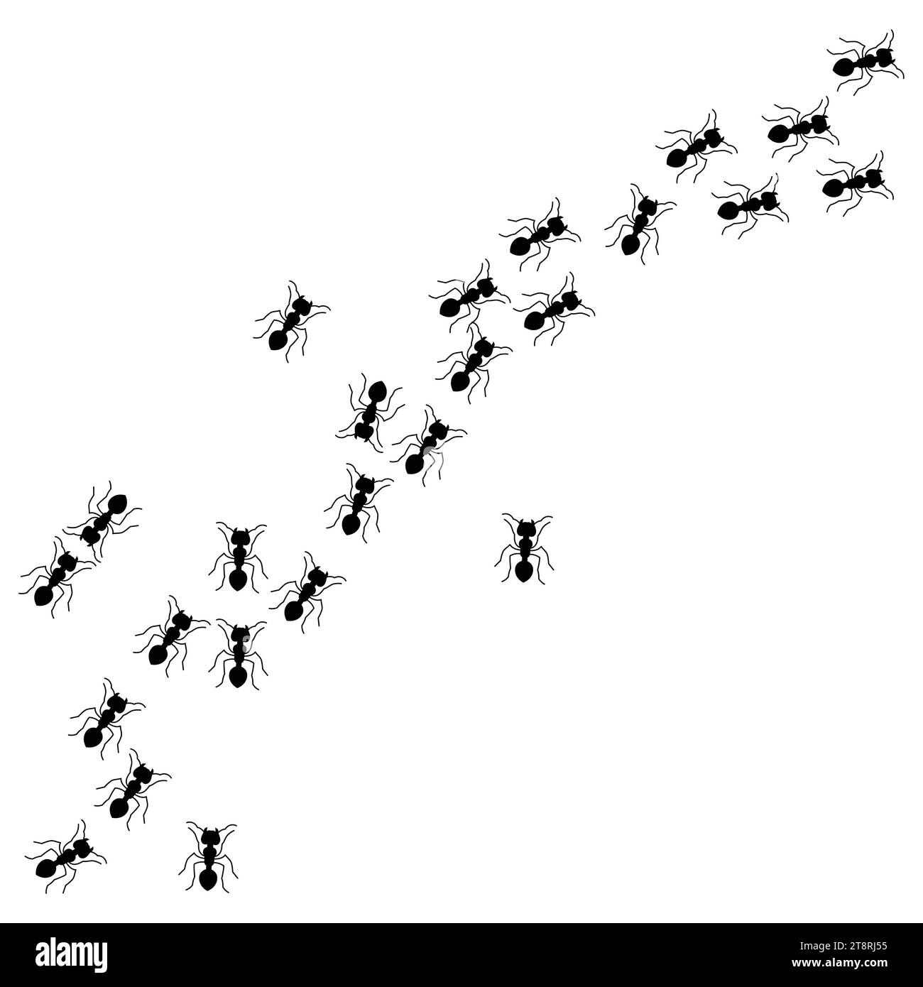 Insekten Ameisen emmet Pismire Banner Vektor Icons Zeichen lustig Eine Linie von Arbeitern Ameisen marschieren Suche Silhouette Banner lo Stock Vektor