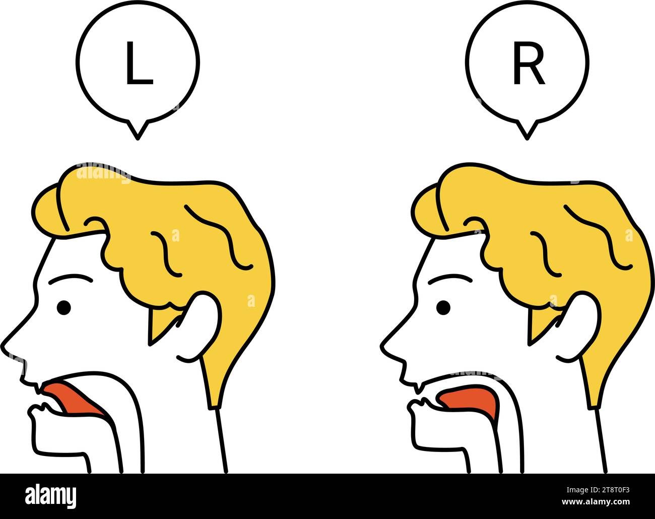 Illustration der Zungenbewegung für englische Konversation, l und r Aussprache, Vektorillustration Stock Vektor