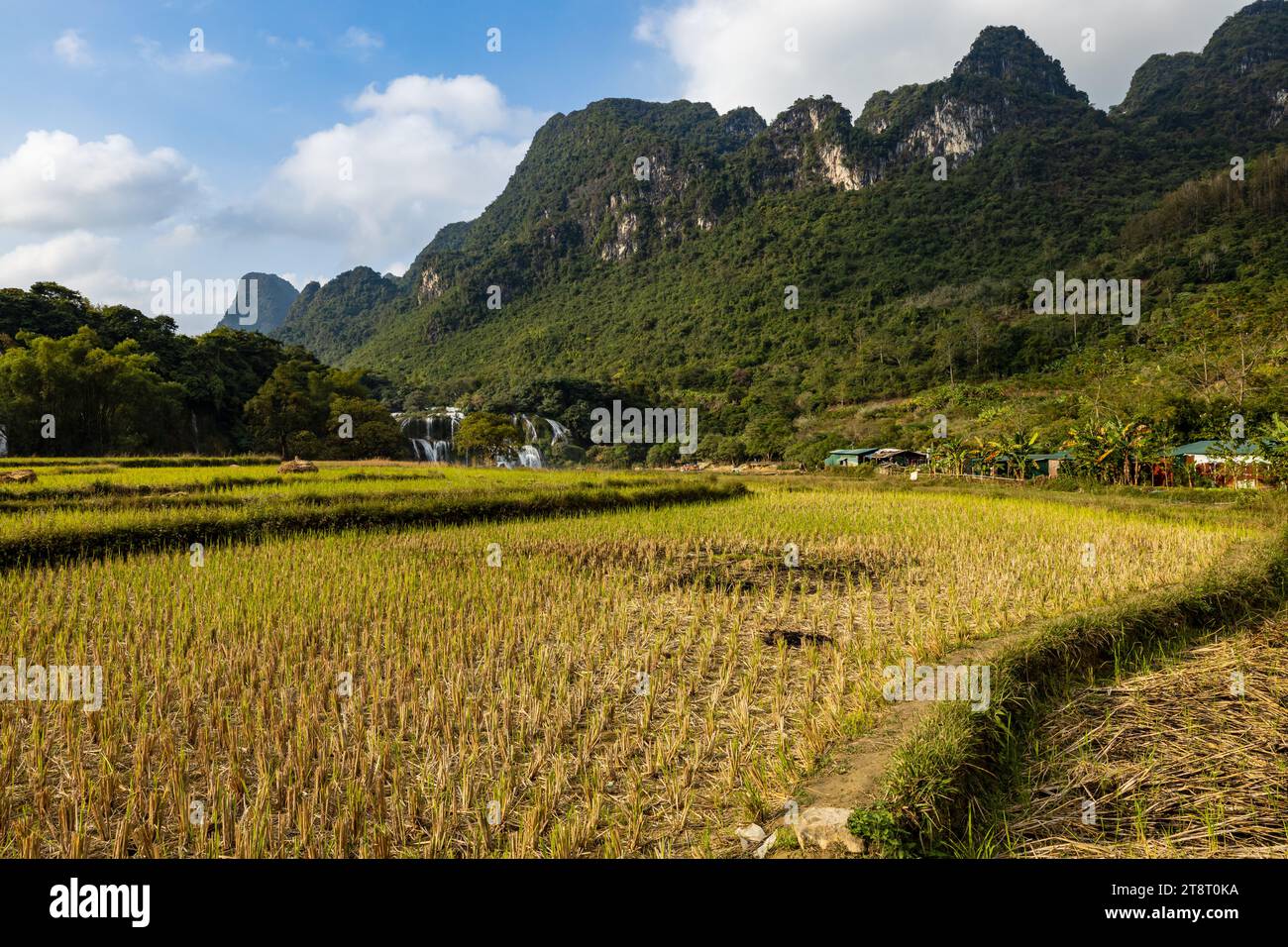 Der Ban Gioc Detian Wasserfall zwischen China und Vietnam Stockfoto