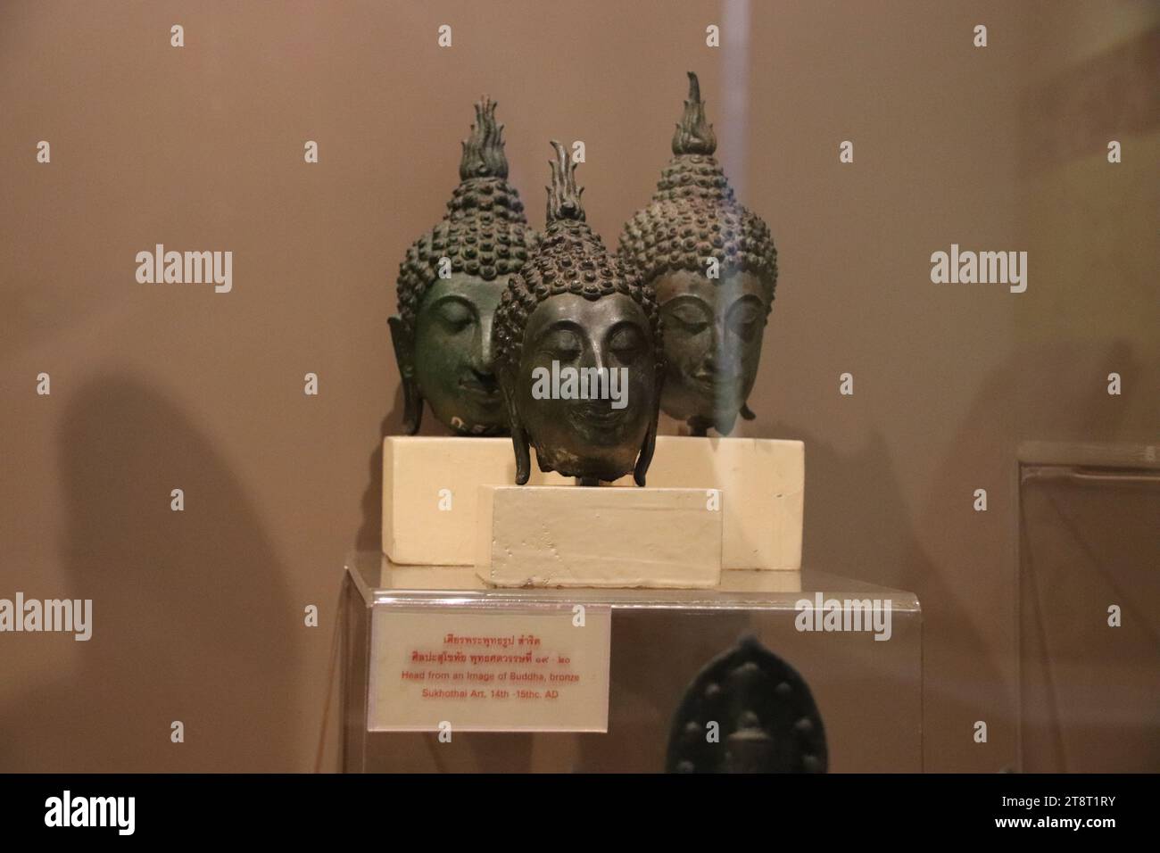 Bronze-Buddha-Köpfe, 14.-15. Jh., Ramkhamhaeng Museum, Sukhothai, Museum der Sukhothai Geschichte, Sukhothai, Thailand Stockfoto