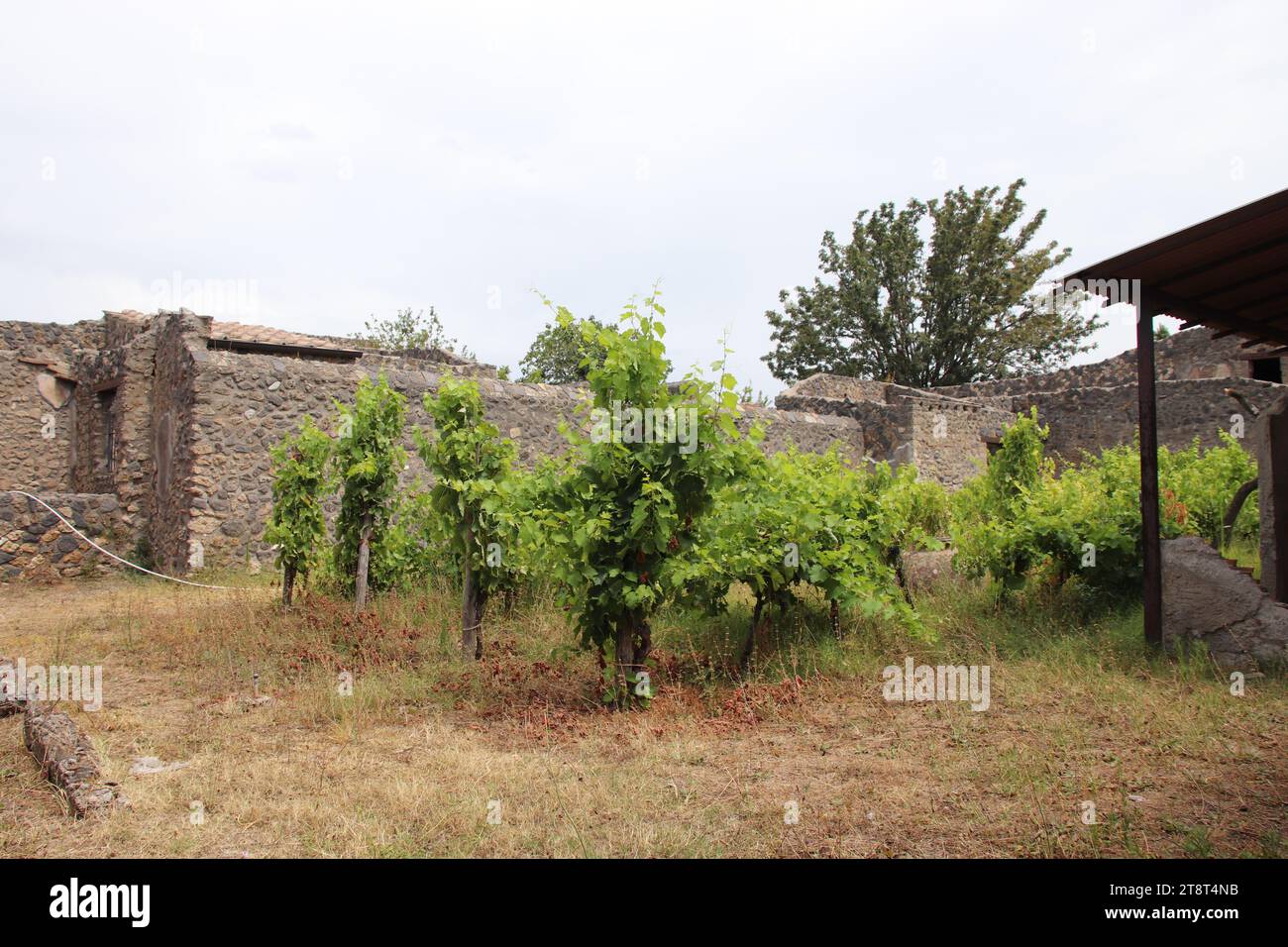 Ruinen von Pompeji, Überreste der römischen Stadt, die durch den Ausbruch des Mt. Vesuv im Jahre 79 n. Chr. und in der Neuzeit ausgegraben, Italien Stockfoto