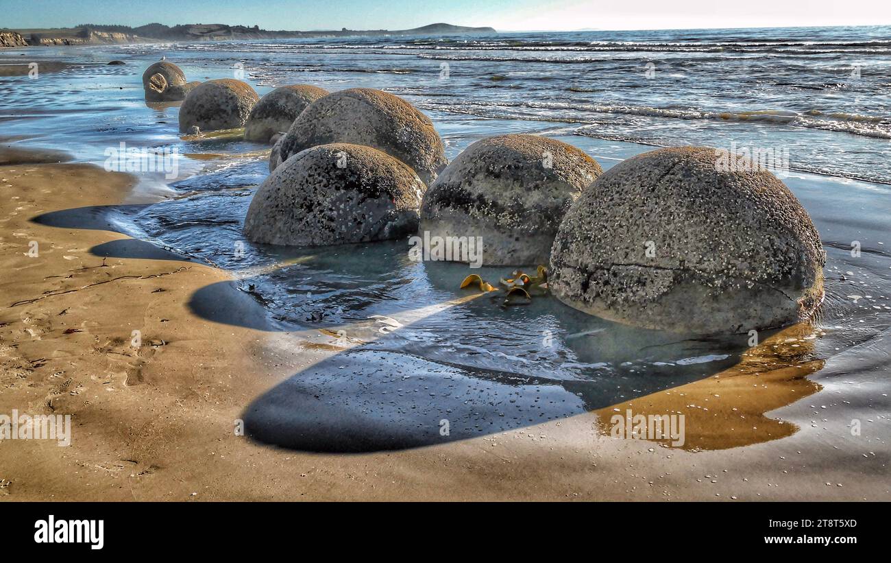 Moeraki Boulders, die Moeraki Boulders, sind ungewöhnlich große und kugelförmige Felsbrocken, die entlang eines Abschnitts des Koekohe Beach an der wellenförmigen Otago-Küste Neuseelands zwischen Moeraki und Hampden liegen. Sie kommen entweder als isolierte oder als Felsblöcke innerhalb eines Strandabschnitts vor, wo sie in einem wissenschaftlichen Reservat geschützt wurden. Die Erosion durch Wellenwirkung von Schlammstein, bestehend aus lokalem Grundgestein und Erdrutschen, setzt häufig eingeschlossene isolierte Felsbrocken frei. Diese Felsbrocken sind graufarbene septarische Konkretionen, die aus dem sie umgebenden Lehmstein exhumiert wurden Stockfoto
