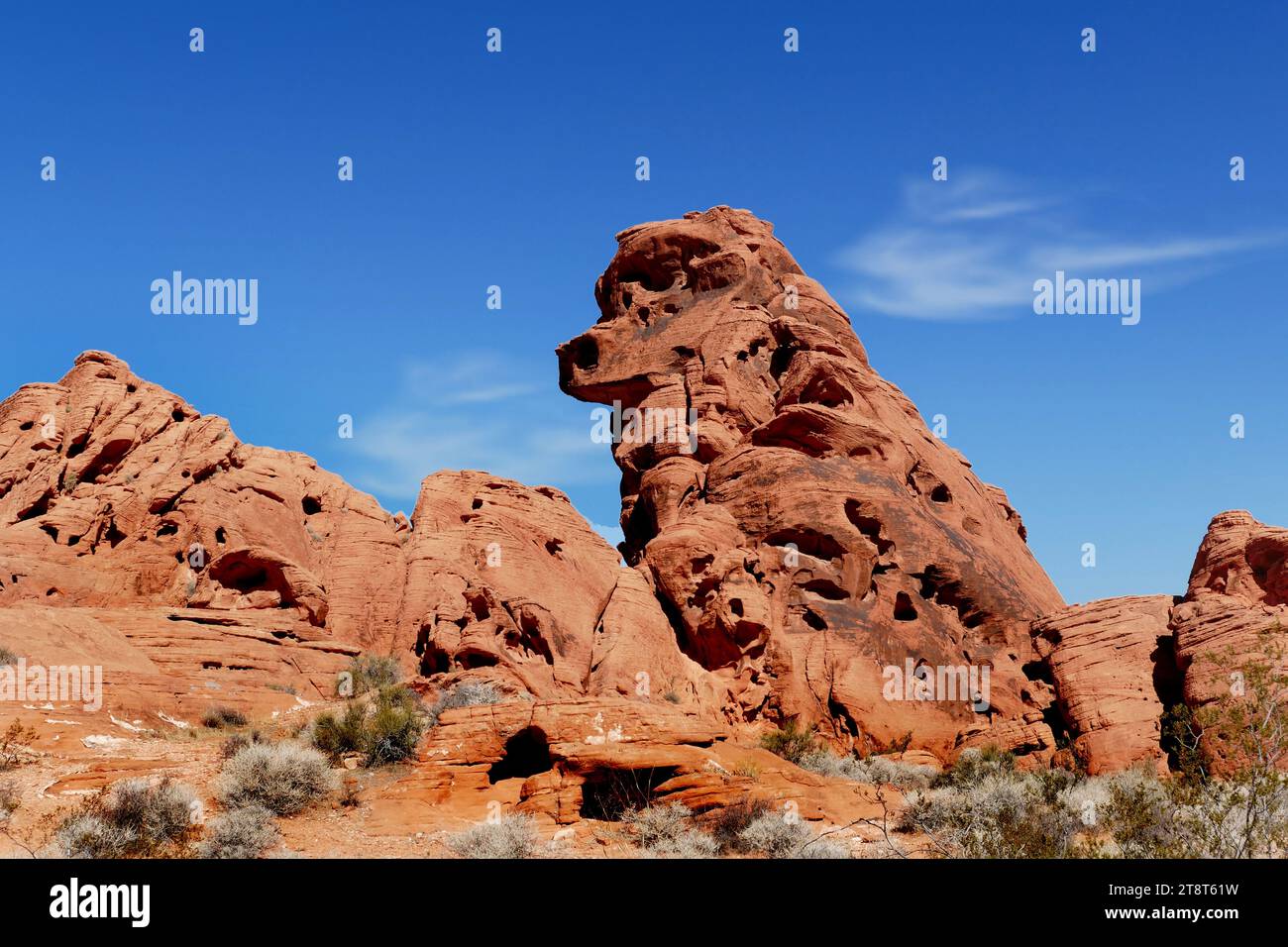 Pudel Rock. Valley of Fire Nevada, Valley of Fire ist der älteste State Park in Nevada und ein großartiger Ort, um 3.000 Jahre alte indische Petroglyphen zu sehen und die roten Sandsteinformationen zu erkunden, die während der Zeit der Dinosaurier entstanden sind. Bringen Sie Ihre Kamera mit, um die Landschaft zu fotografieren, während Sie diese felsige Landschaft erkunden, die vor über 150 Millionen Jahren entstanden ist. Der rote Sandstein strahlt ein unglaubliches Licht aus, das die grauen Felsen in der Nähe türkis erscheinen lässt Stockfoto