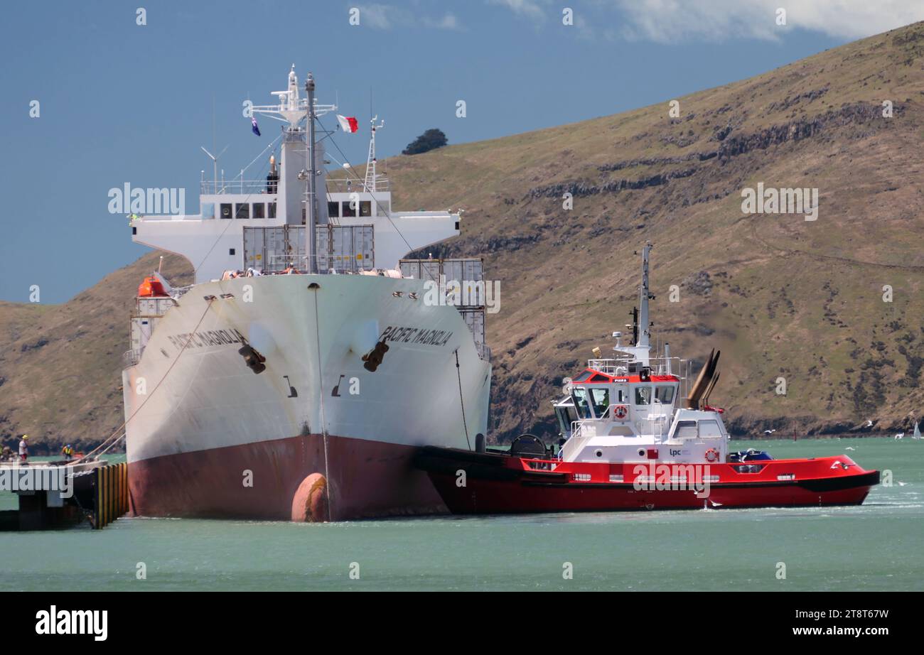 PAZIFISCHE MAGNOLIE. Reefer, Hafen von Lyttleton Stockfoto