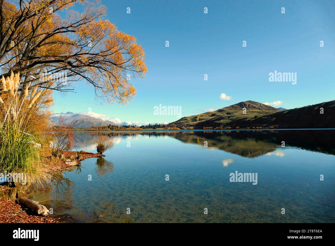 Lake Hays Otago, Lake Hayes, ist ein kleiner See im Wakatipu Basin in Central Otago auf der Südinsel Neuseelands. Es liegt in der Nähe der Städte Arrowtown und Queenstown Stockfoto