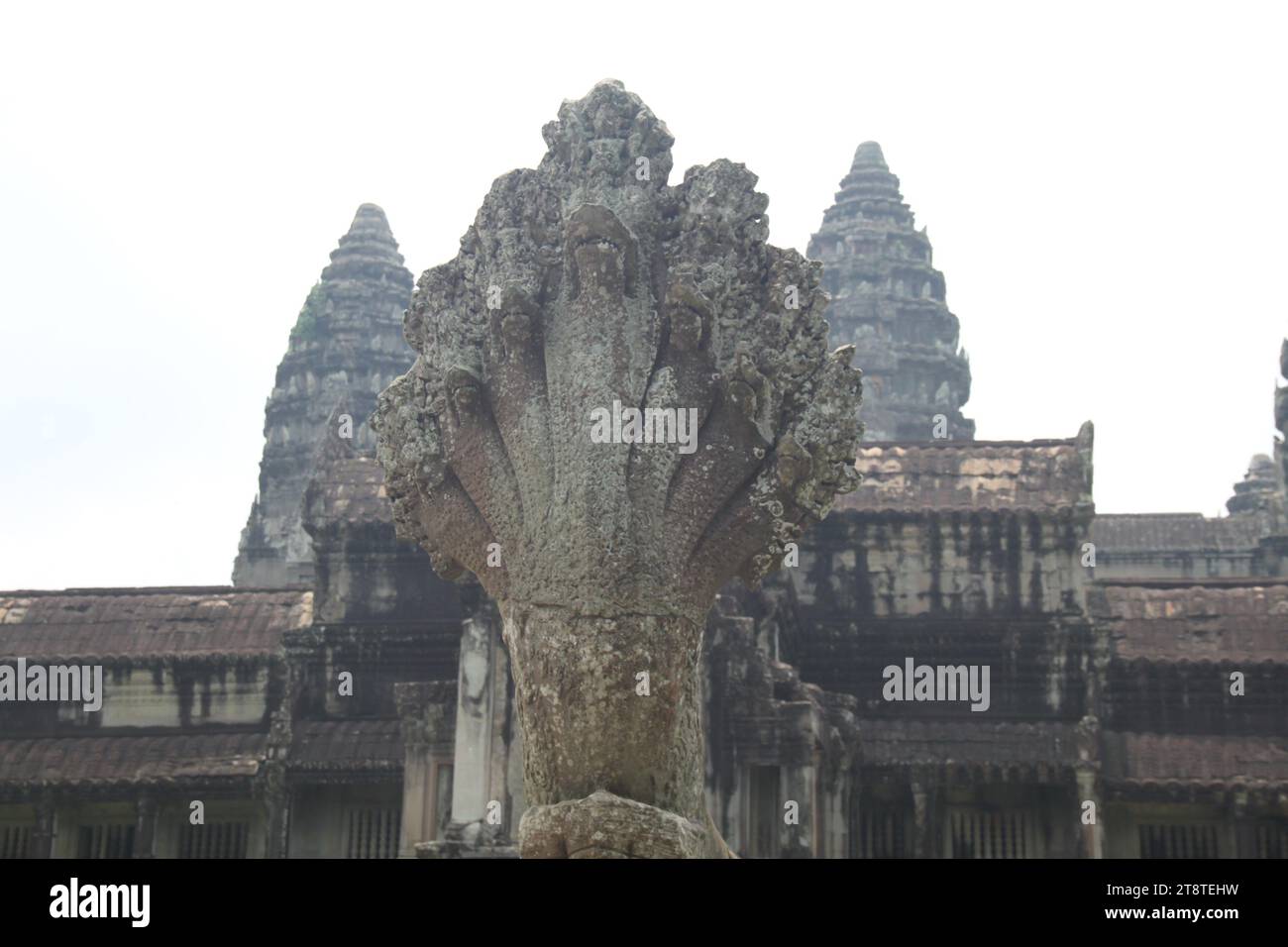 Angkor Wat, Khmer-Tempel, Herrschaft von Suryavarman II (1113-1150 n. Chr.), Siem Reap, Kambodscha Stockfoto