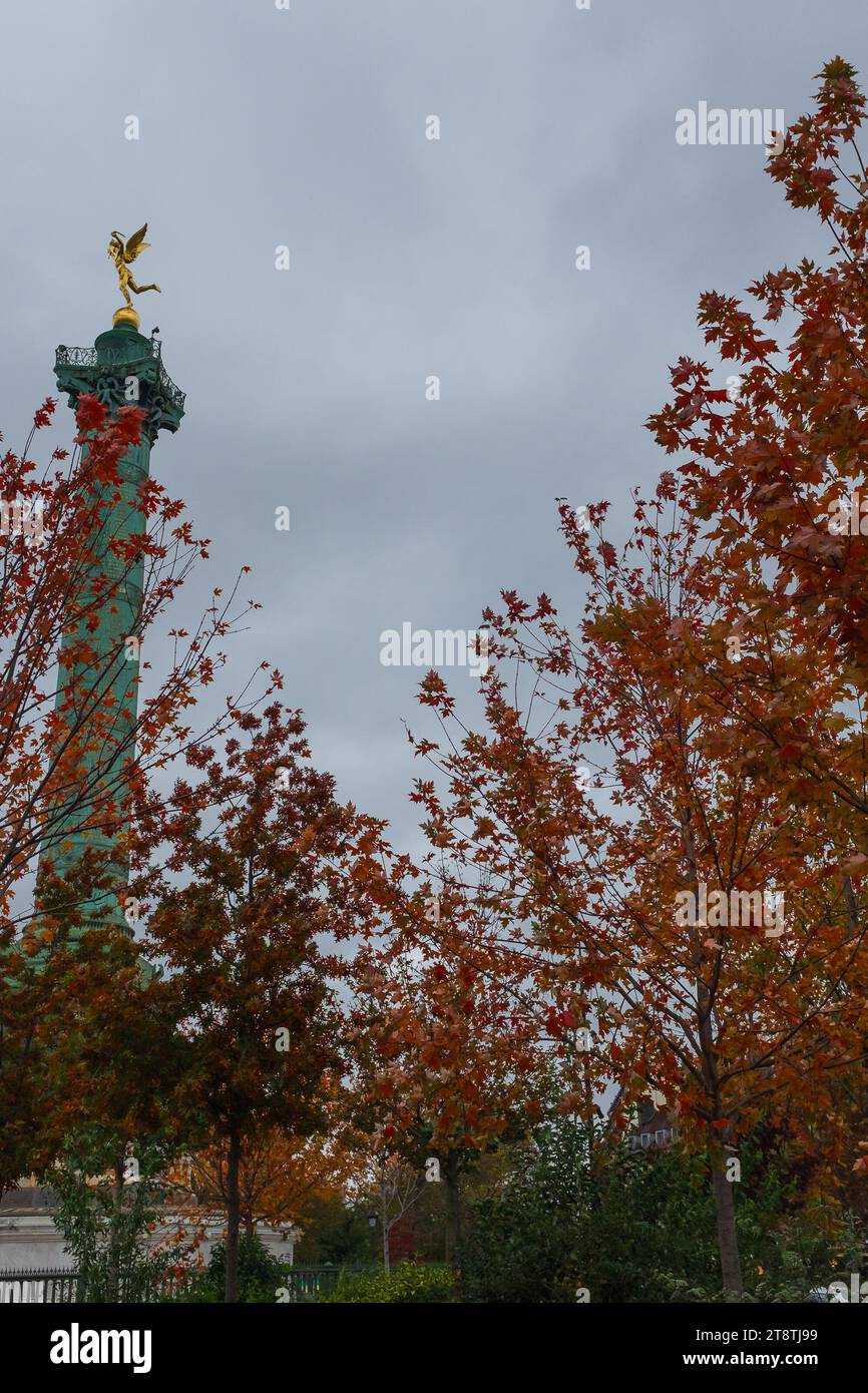Paris, Frankreich, 2023. Die Julisäule und ihre Génie de la Liberté, die durch die Ahornzweige (Acer rubrum) auftaucht, lodern im Herbst (vertikal) Stockfoto