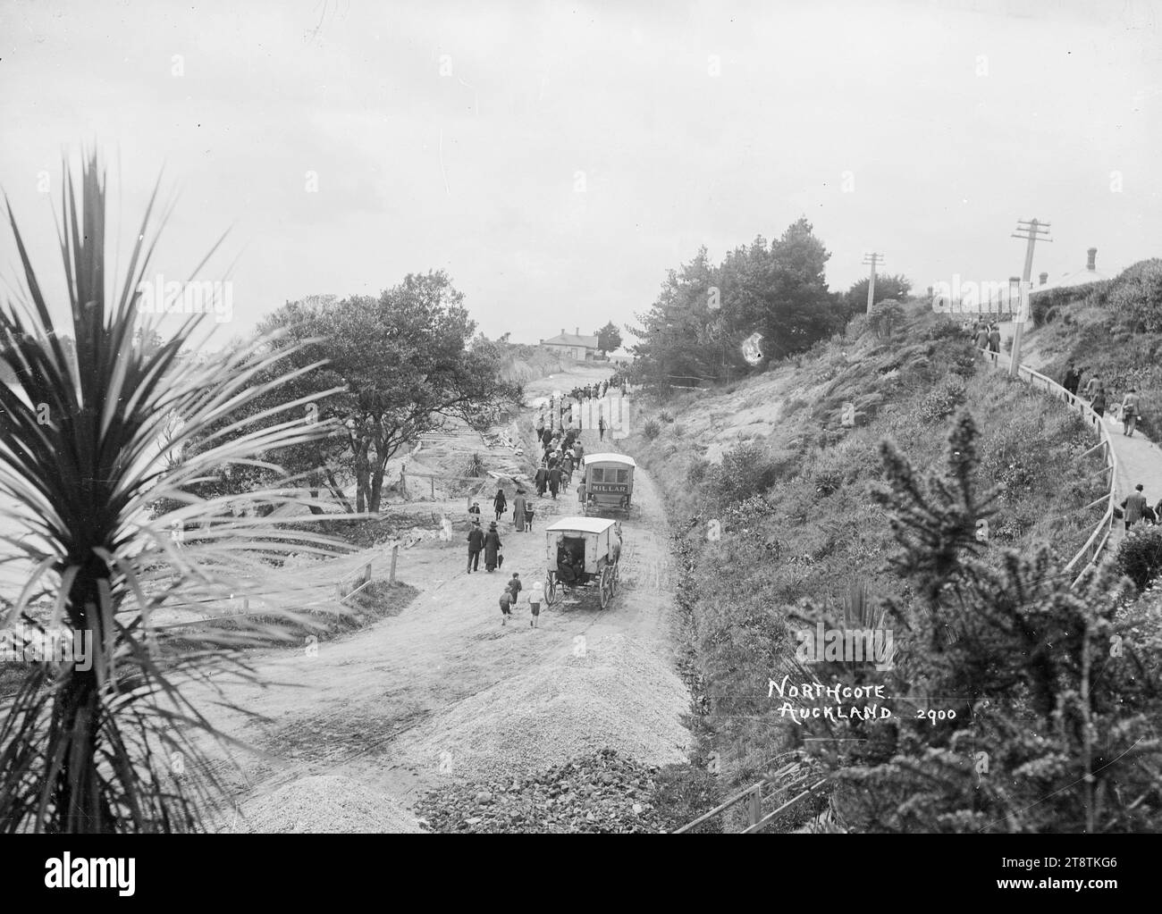 Passagiere mit der Fähre, die Northcote Wharf, Auckland, Neuseeland verlassen, und die mit einem Pferdebus reisen und nach dem Aussteigen von der Fähre die unbefestigte Straße hinauf gehen. Auf der rechten Seite gehen die Menschen einen Weg hinauf zur Straße darüber. In der Mitte des Fotos befinden sich zwei Pferdebusse. Hinter dem Heck laufen drei kleine Jungs. Auf der Vorderseite steht hinten "Millar". Im unmittelbaren Vordergrund befindet sich ein Kohlbaum, ca. 1910 Stockfoto