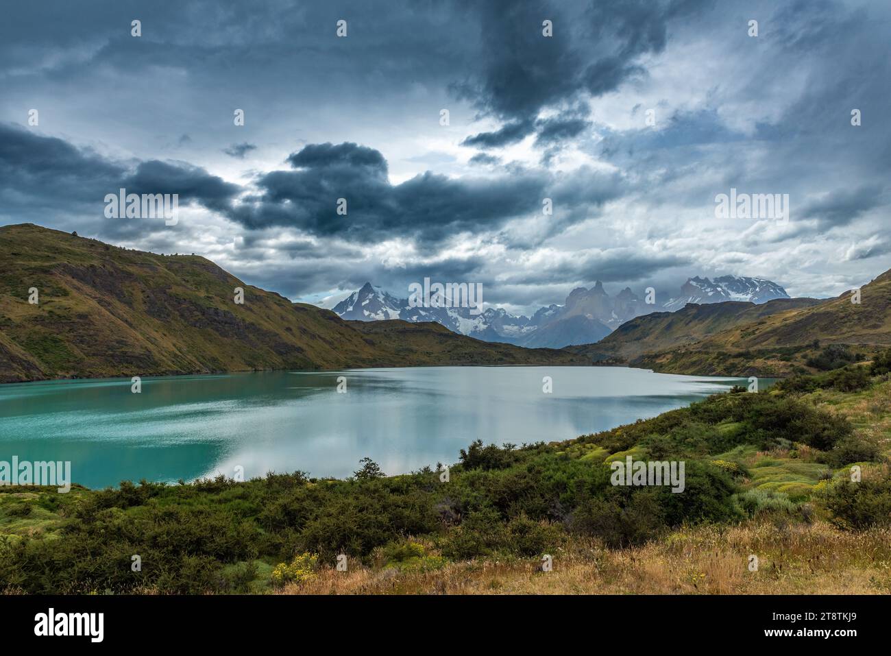 Blick auf den See Pehoe im Nationalpark Torres del Paine, Chile Stockfoto