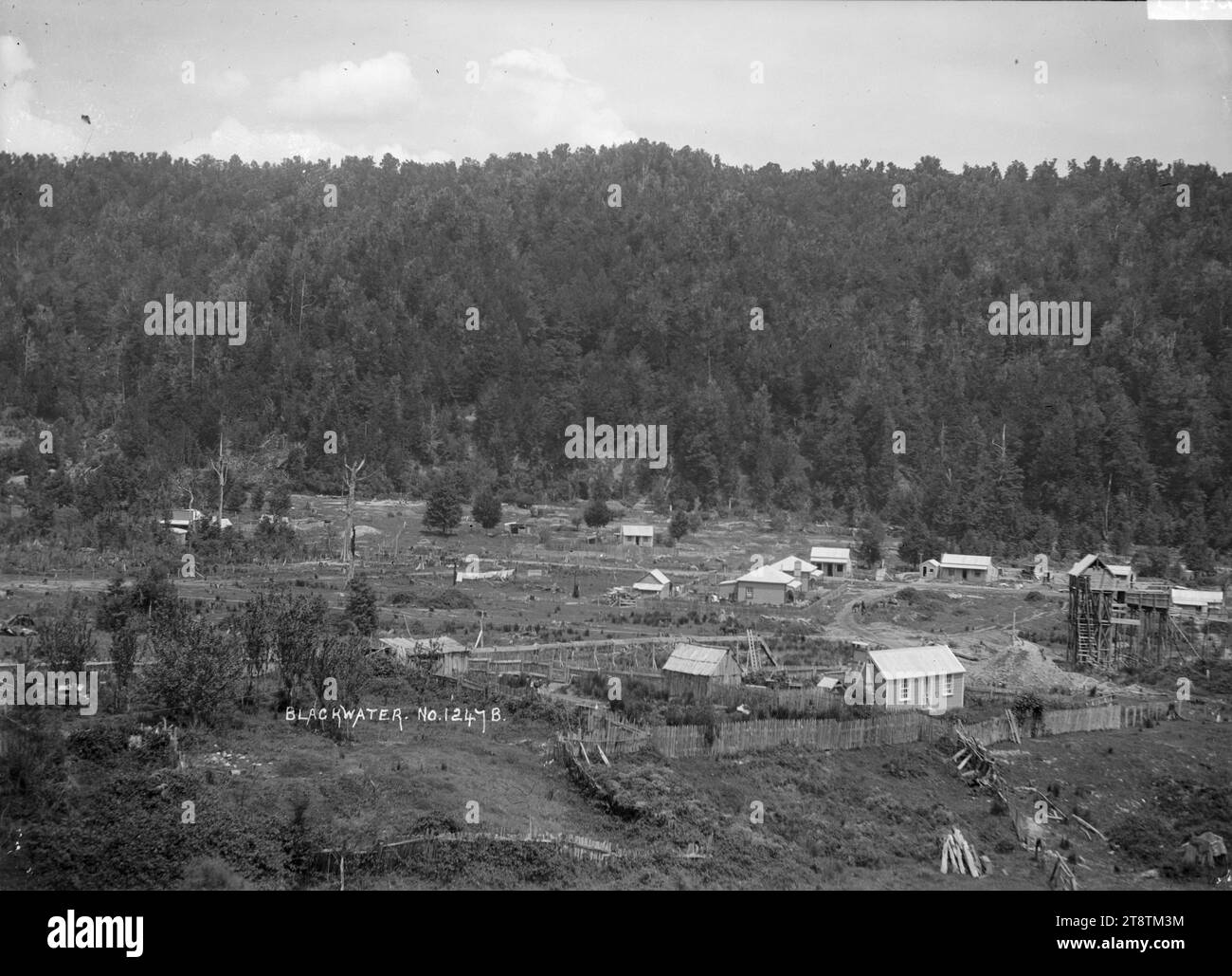 Szene in Blackwater, West Coast, Szene in Blackwater, Inangahua County, mit kleinen Häusern auf der flachen Fläche im Vordergrund und einem Hügel, der mit einheimischem Busch bedeckt ist. P zwischen 1900 und 1930 Stockfoto