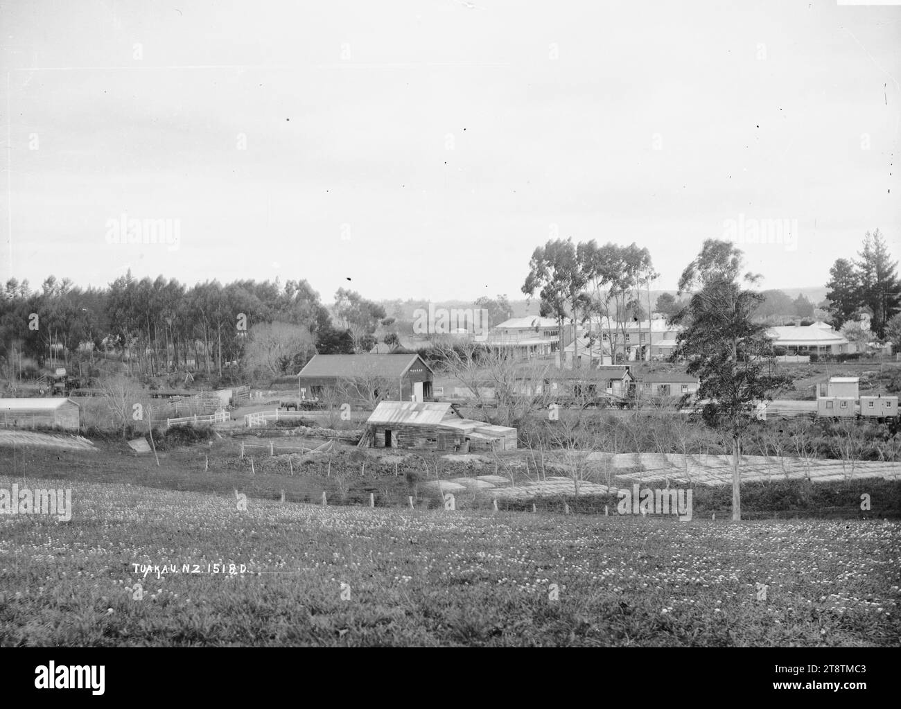 Tuakau Township, Tuakau Township, fotografiert zwischen 1910 und 1930. Im Vordergrund ist die Flachsfaser zum Trocknen und Bleichen ausgelegt. In der Mitte befindet sich der Bahnhof in mehreren Metern, mit dem Township dahinter Stockfoto