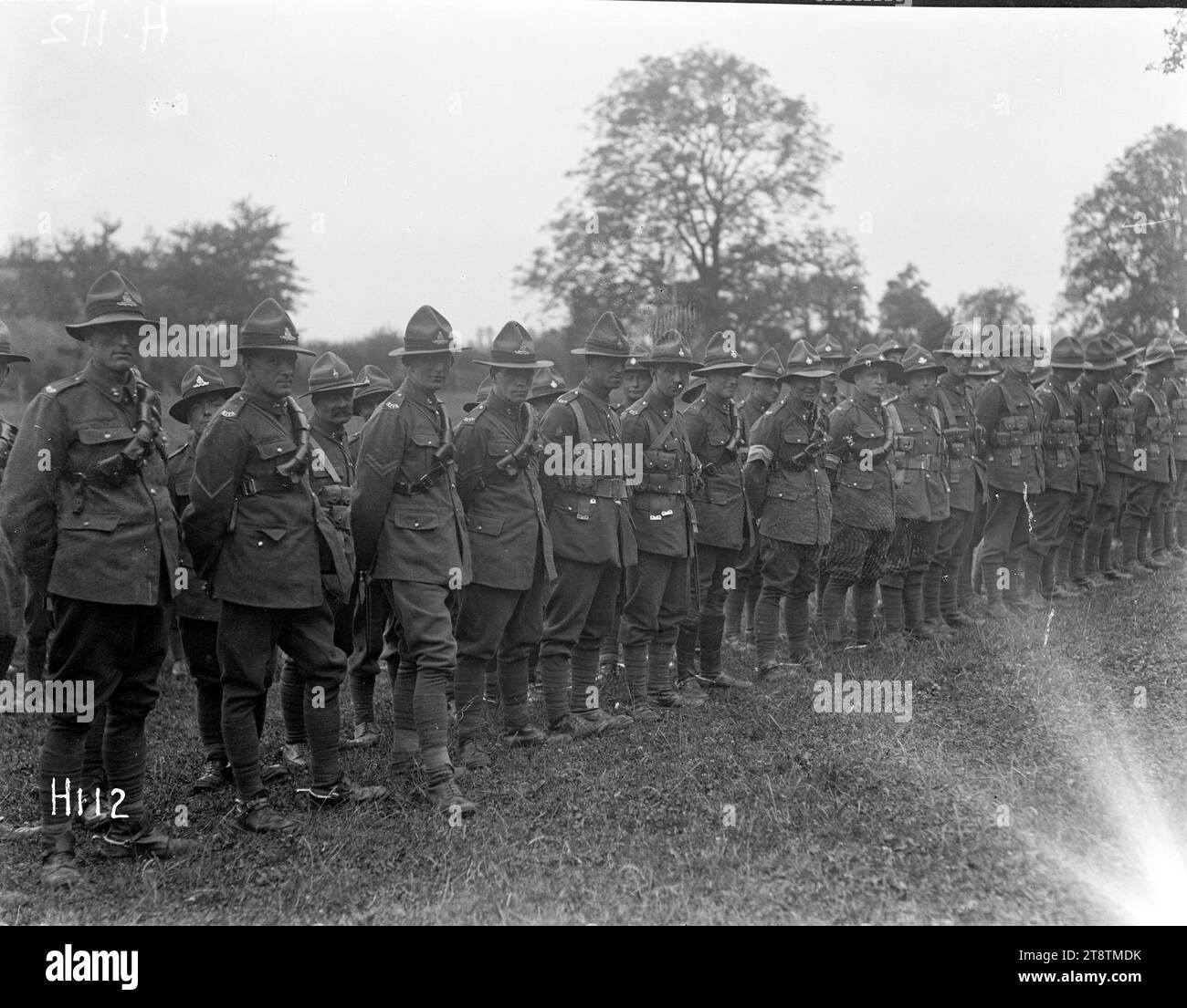 Einige der neu dekorierten Soldaten der New Zealand Division, Western Front, einige der neu dekorierten Helden der New Zealand Division, die Medaillen von General Godley erhielten. Foto vom 8. Juli 1917 Stockfoto