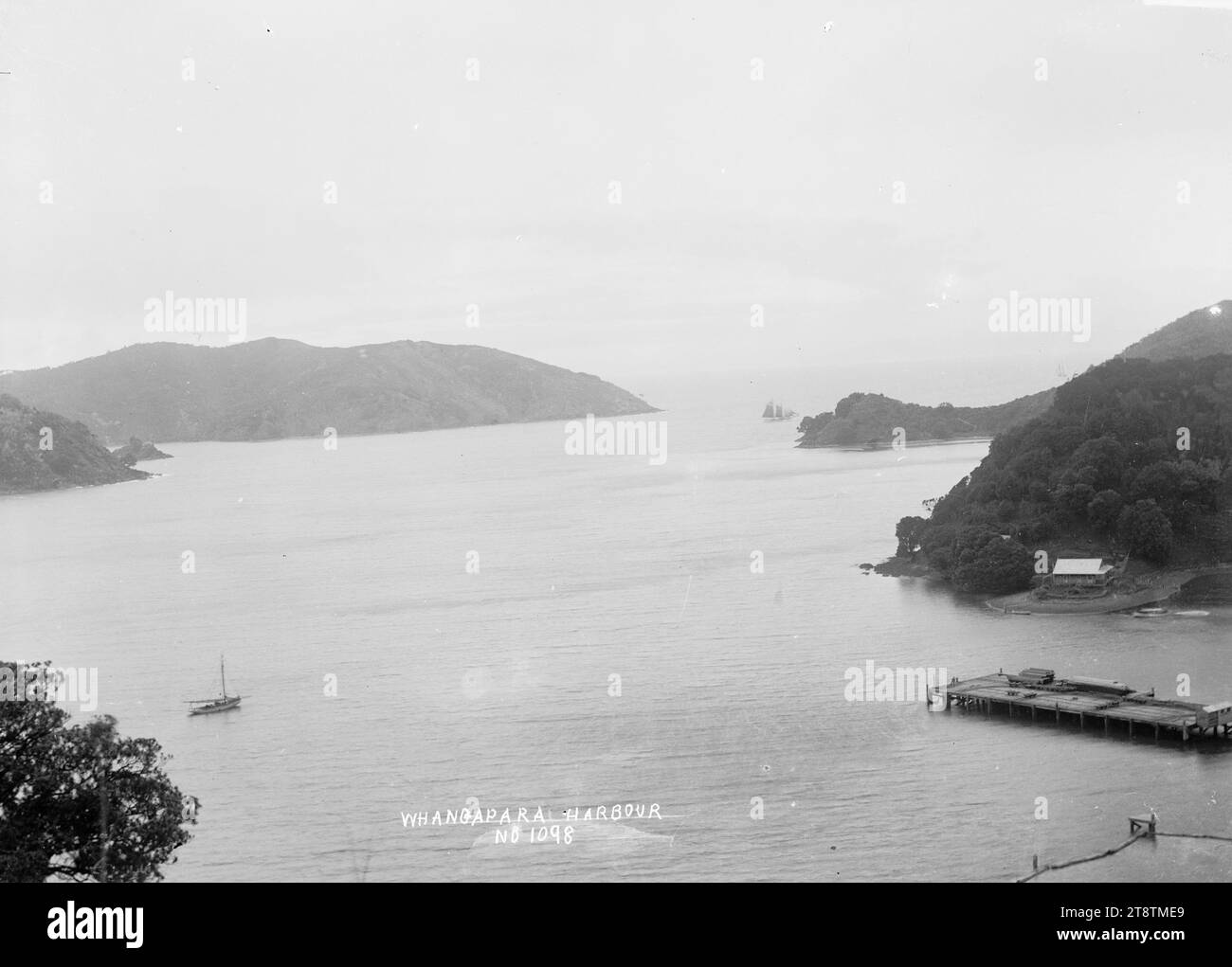 Whangaparapara Harbour, Great Barrier Island, Blick hinunter auf den Kai und über den Eingang des Whangaparapara Harbour. Es gibt eine Yacht, die durch die Köpfe fährt, und eine andere liegt in der Bucht. Anfang der 1900er Jahre Stockfoto